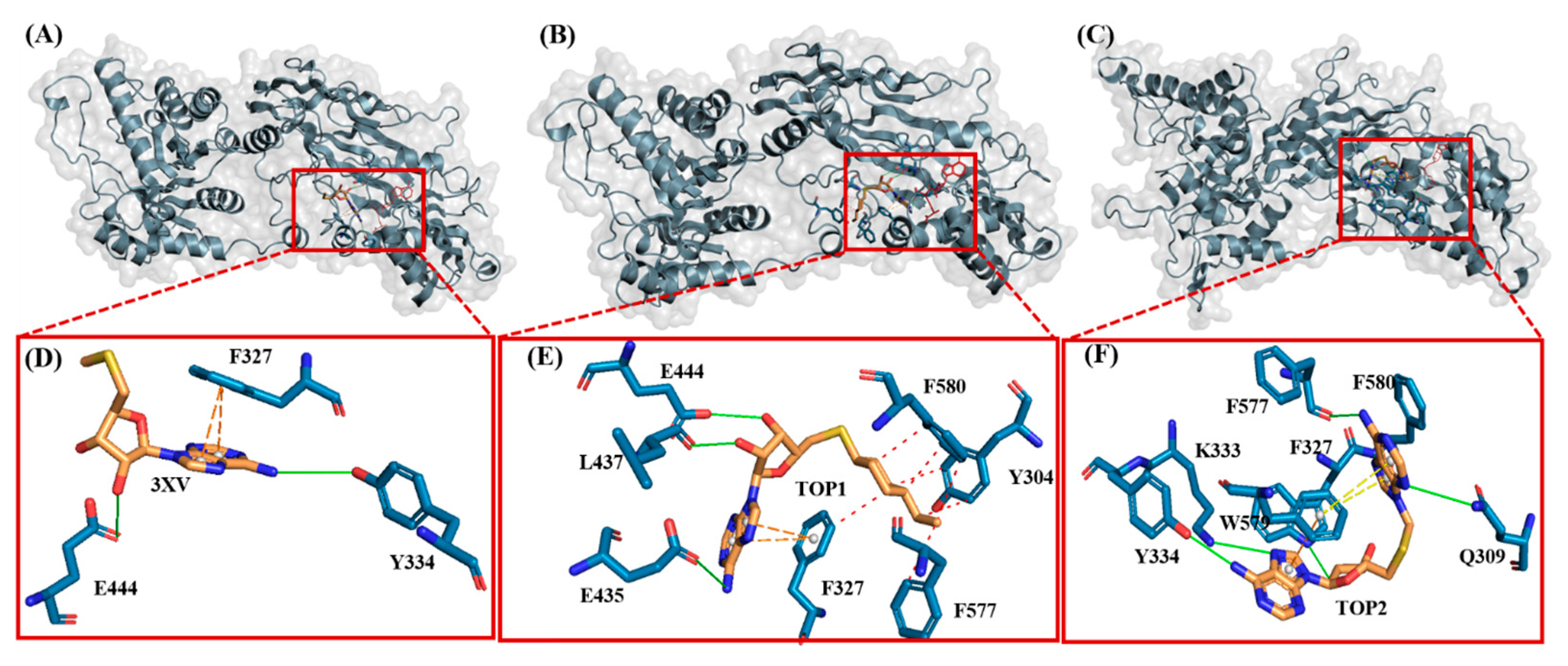 Molecules 29 02662 g003