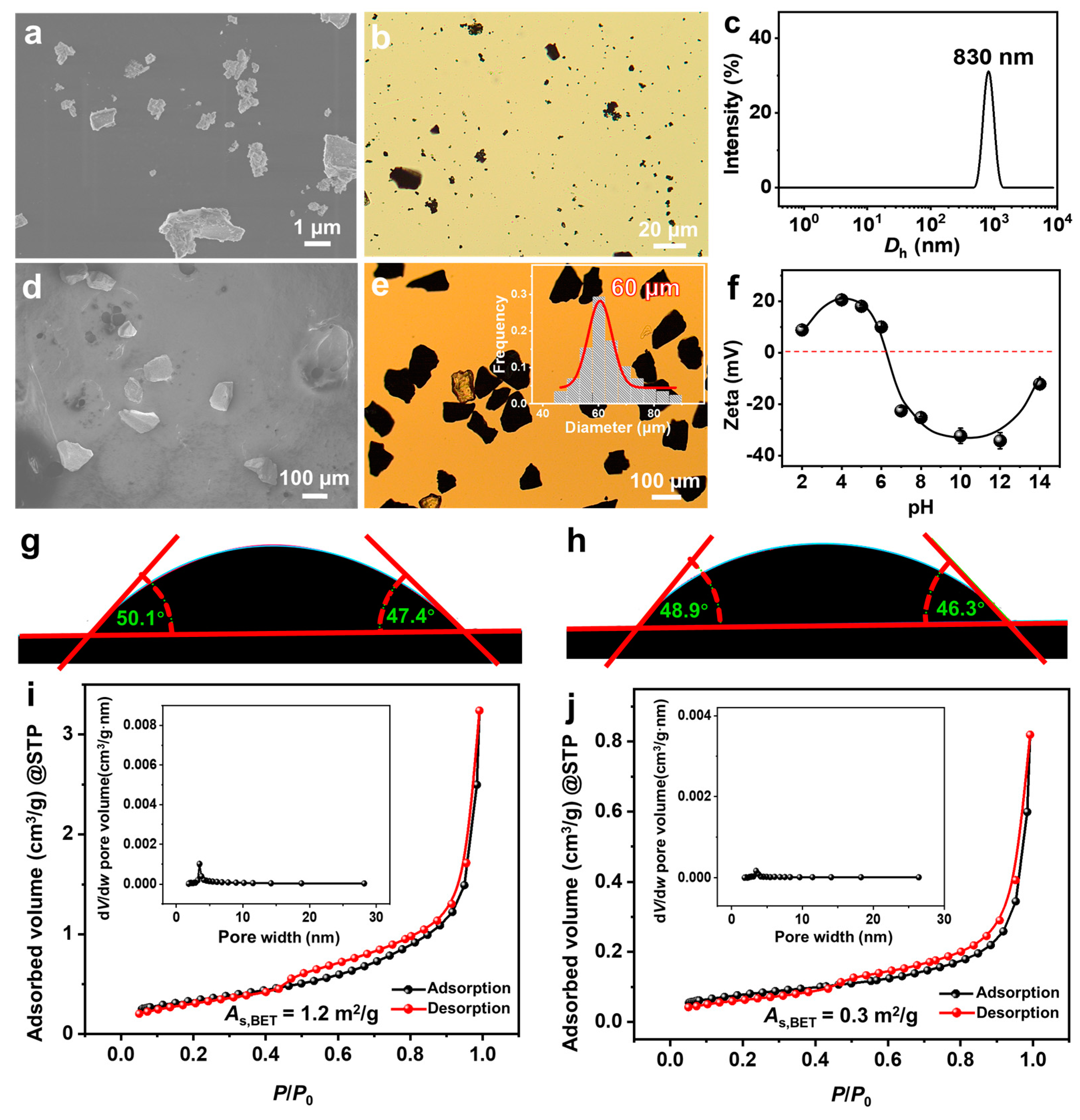 Molecules 29 02664 g001