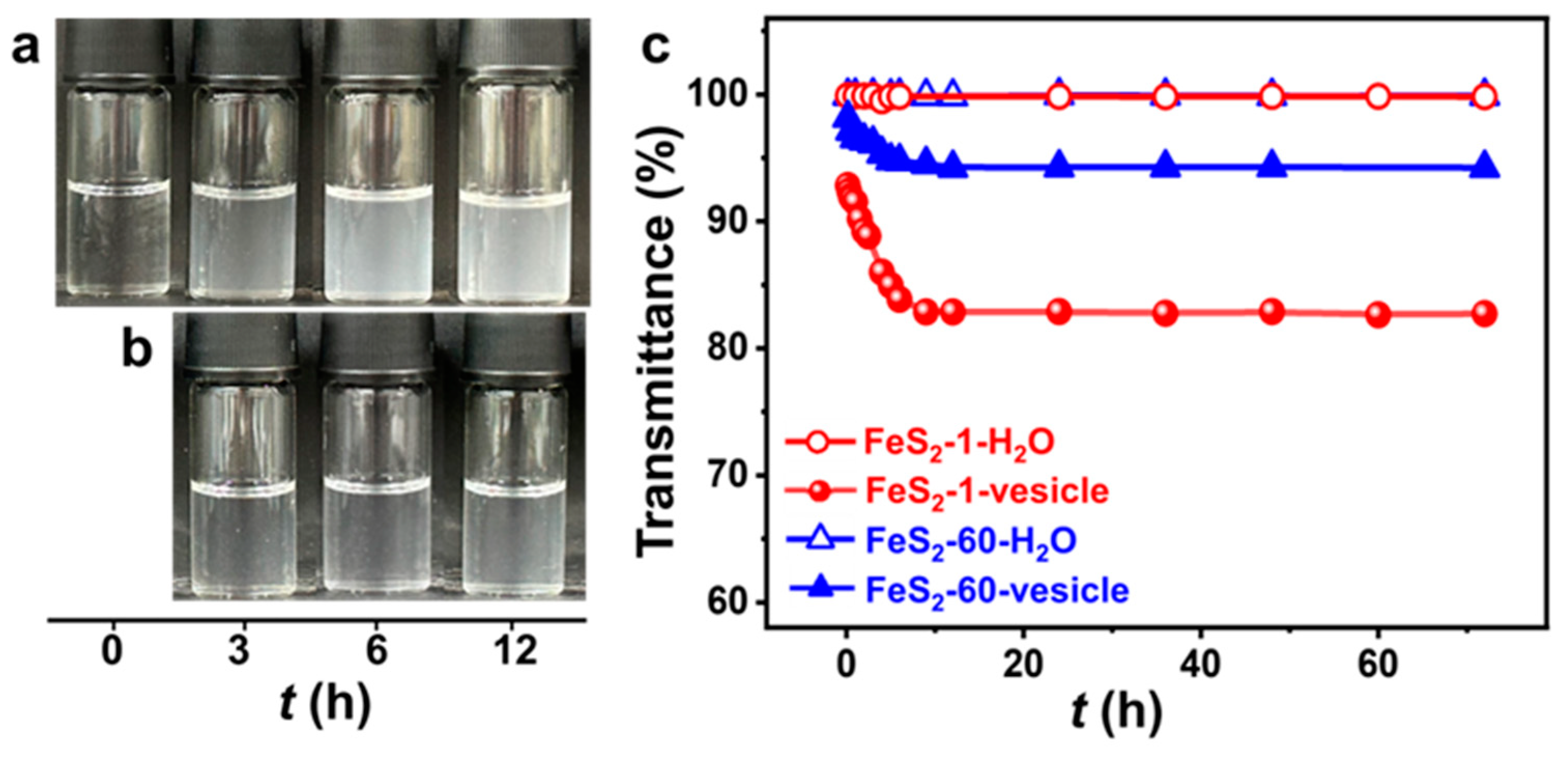 Molecules 29 02664 g002