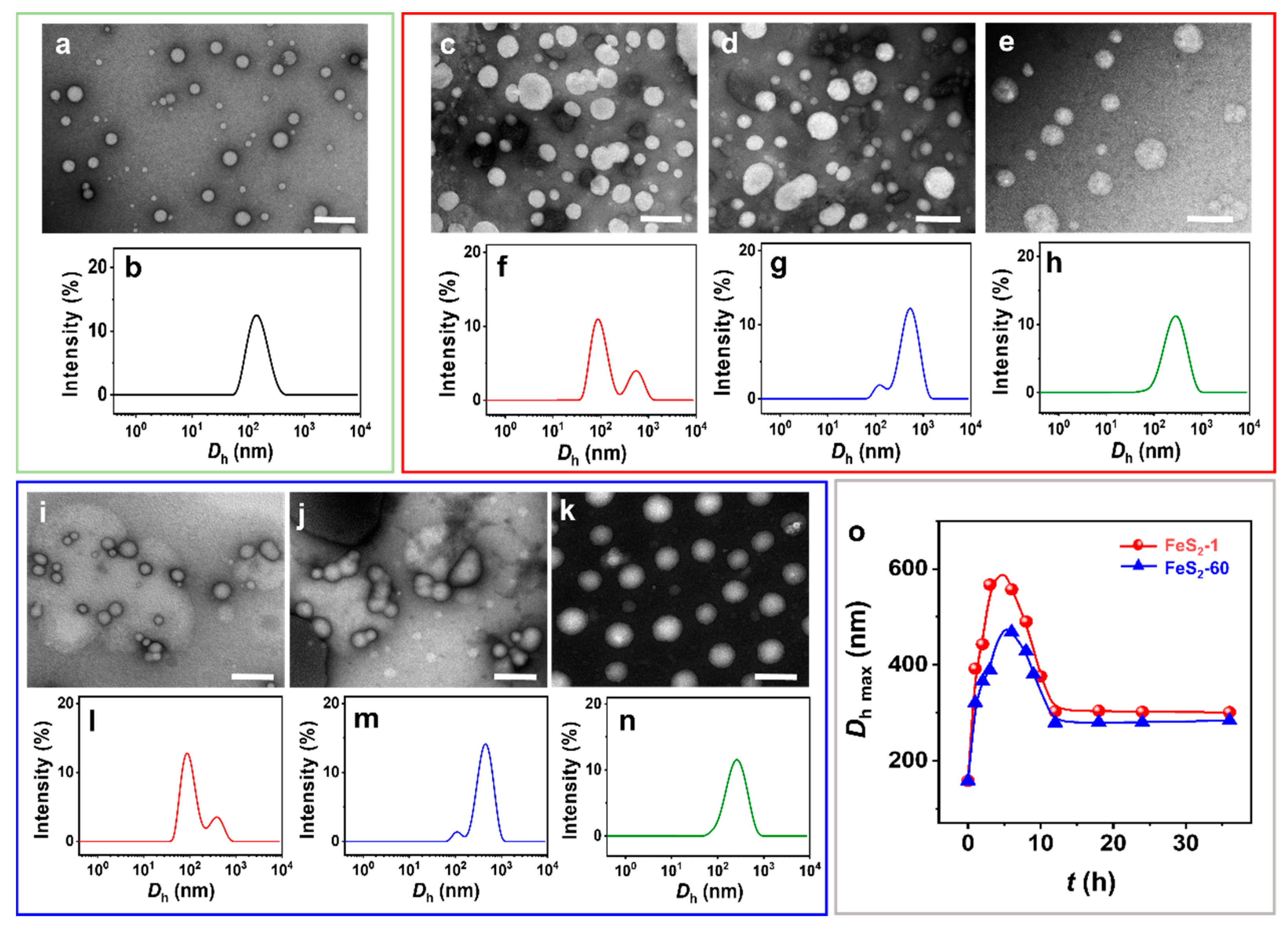 Molecules 29 02664 g003