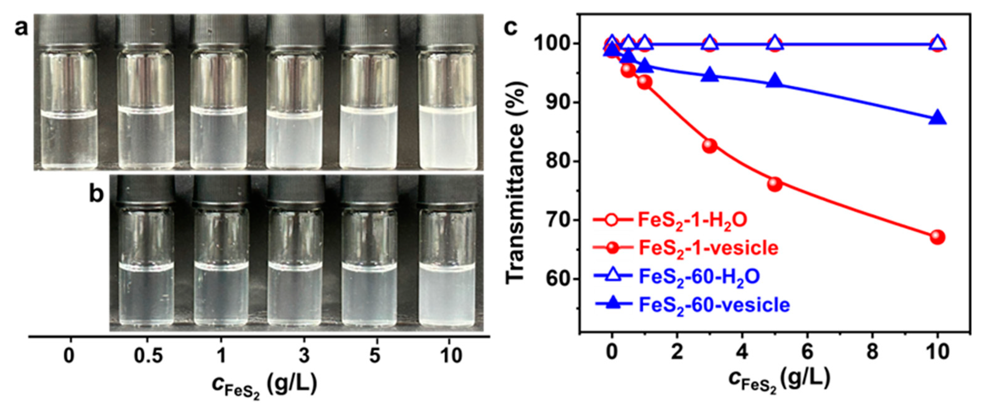 Molecules 29 02664 g004