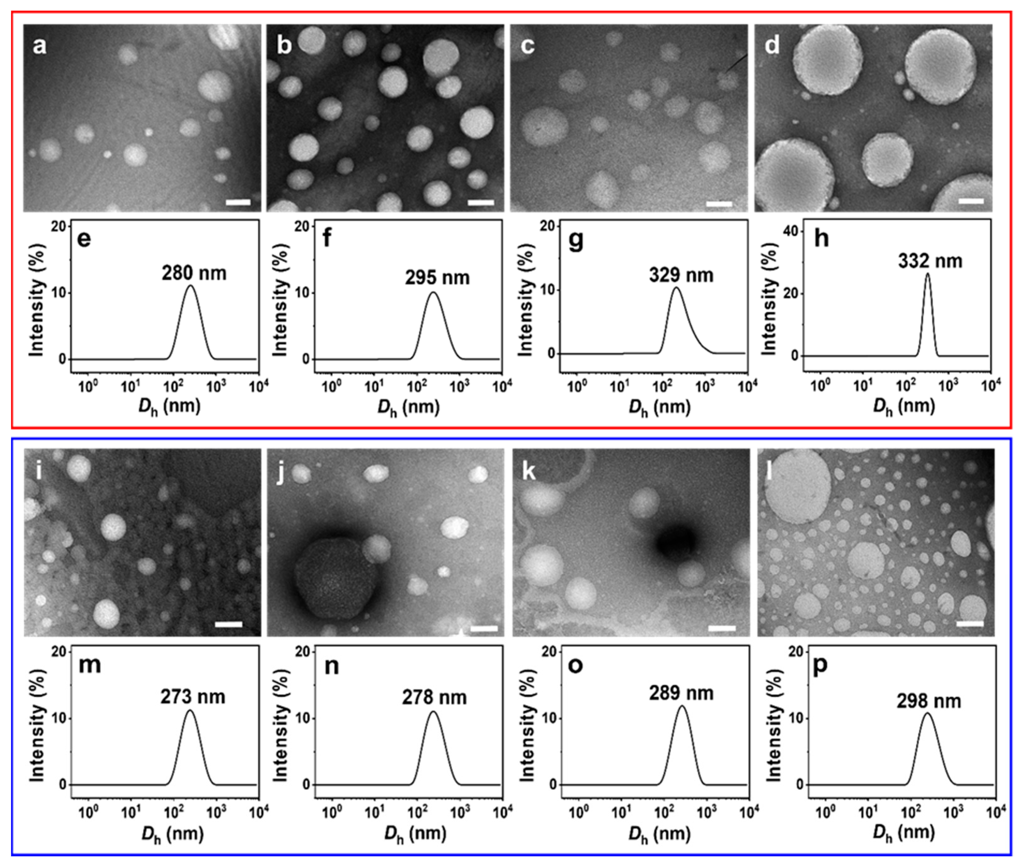 Molecules 29 02664 g005