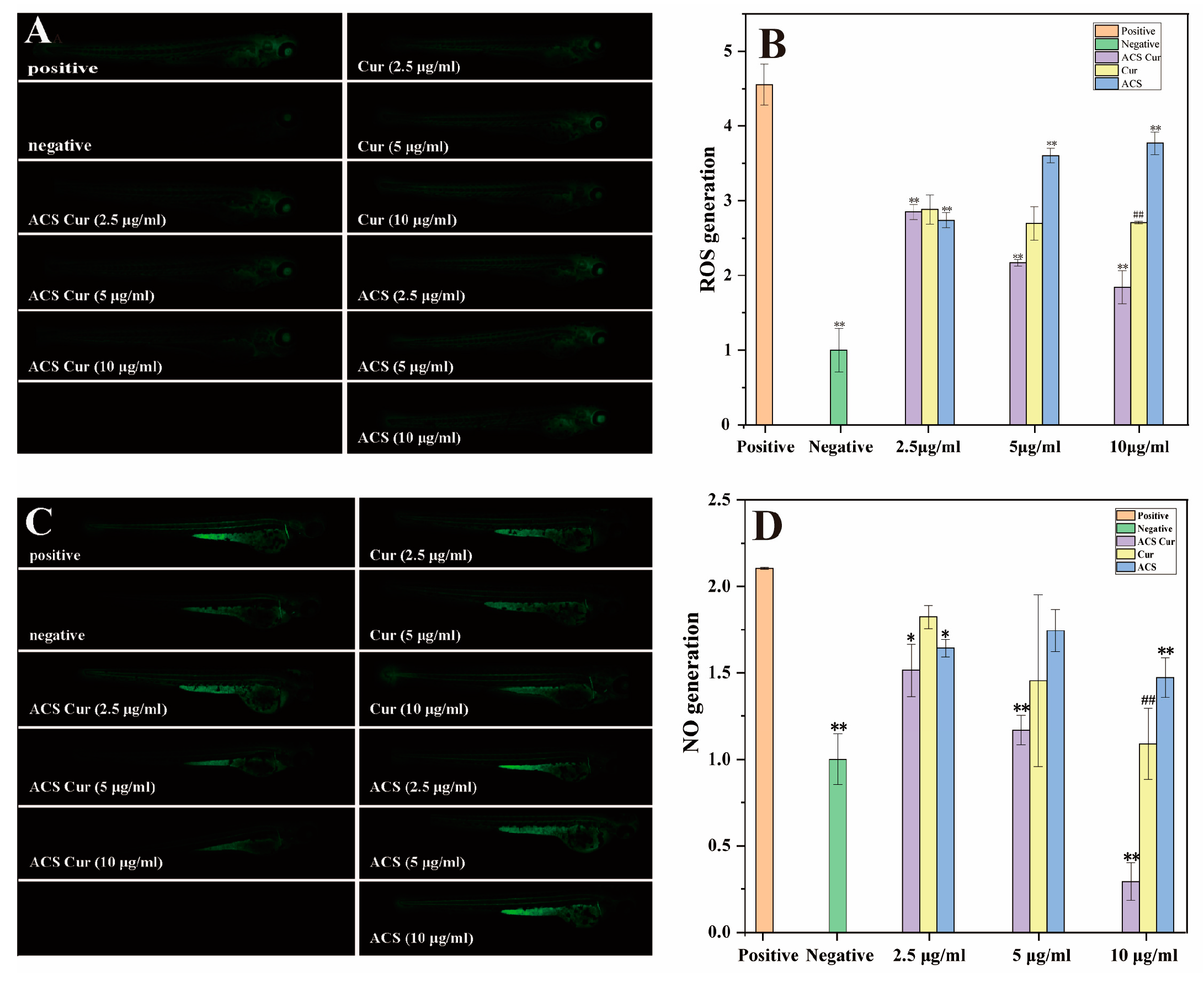 Molecules 29 02693 g006