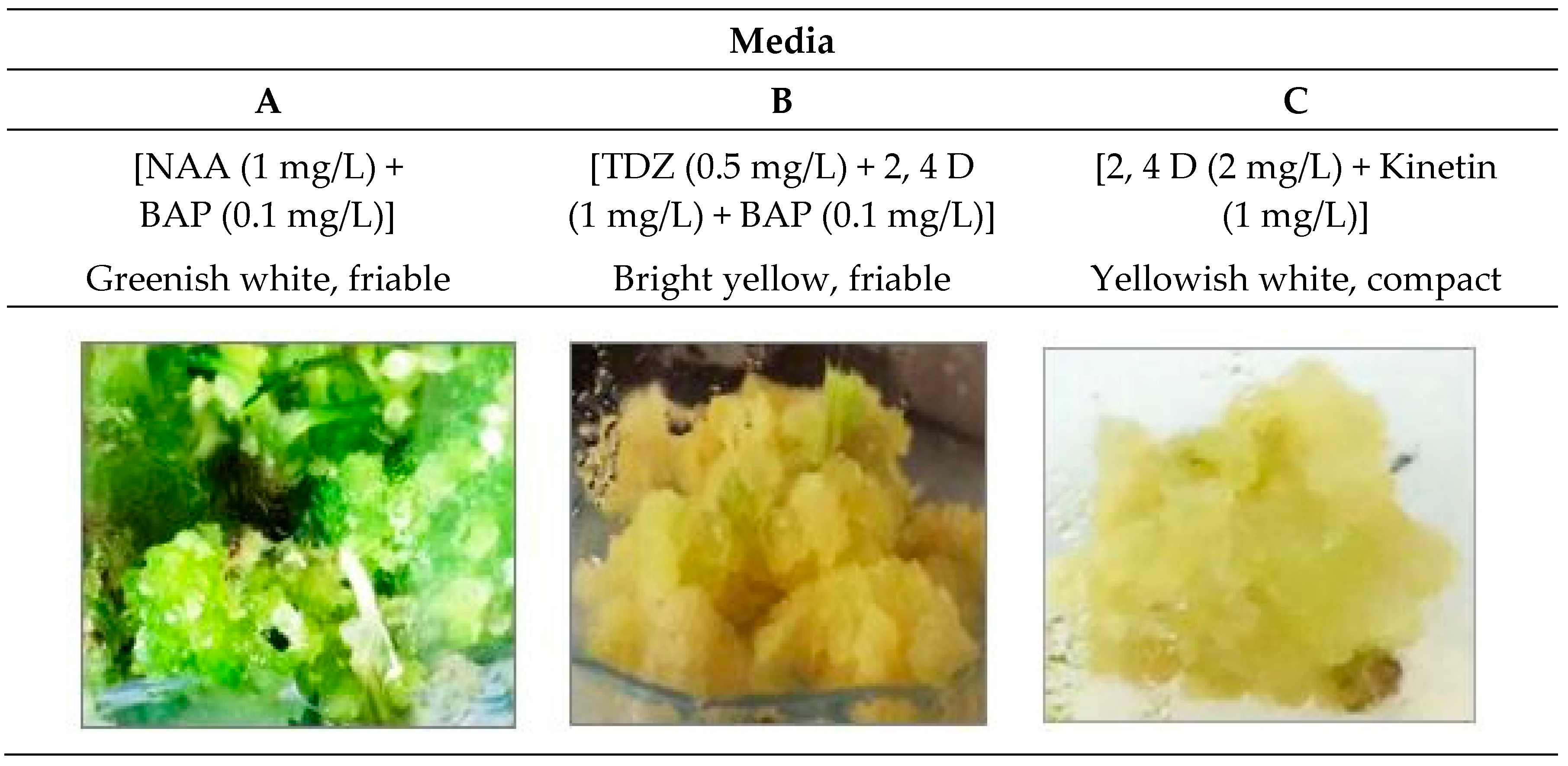 Molecules 29 02694 g001