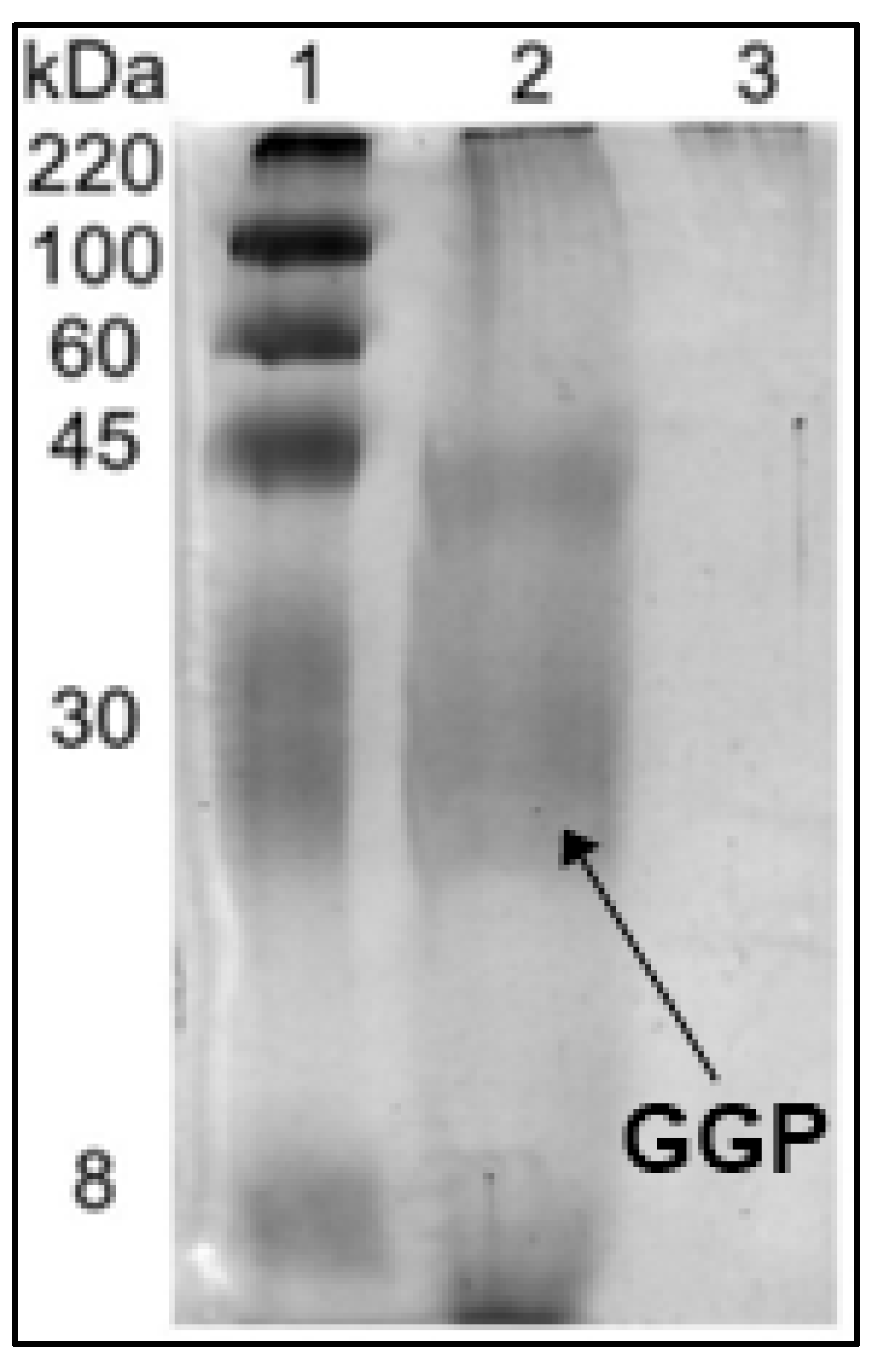 Molecules 29 02696 g001