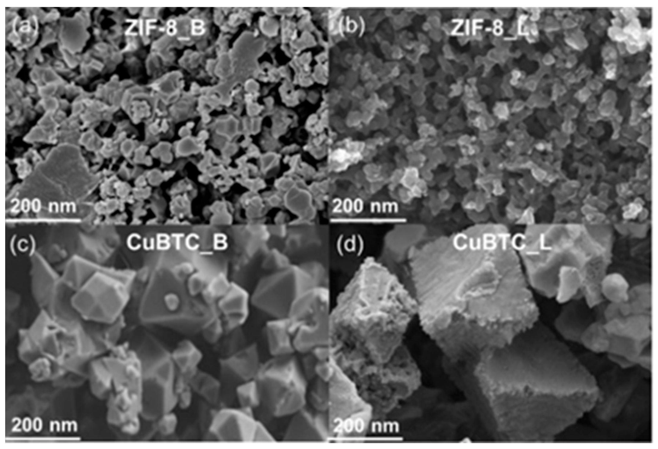 Molecules 29 02698 g003