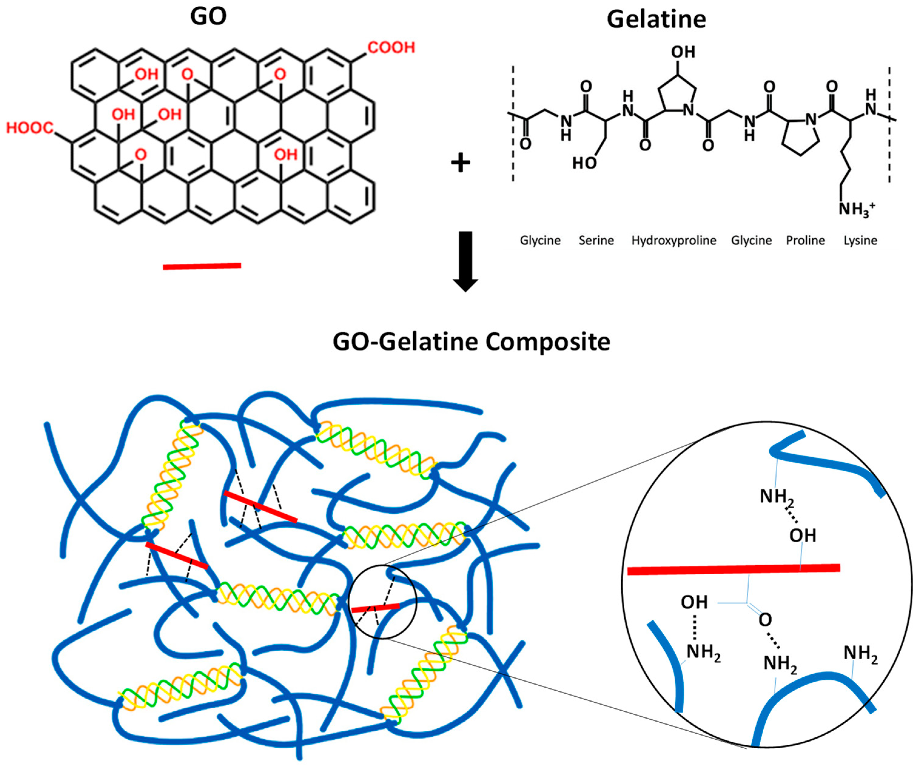 Molecules 29 02700 g005