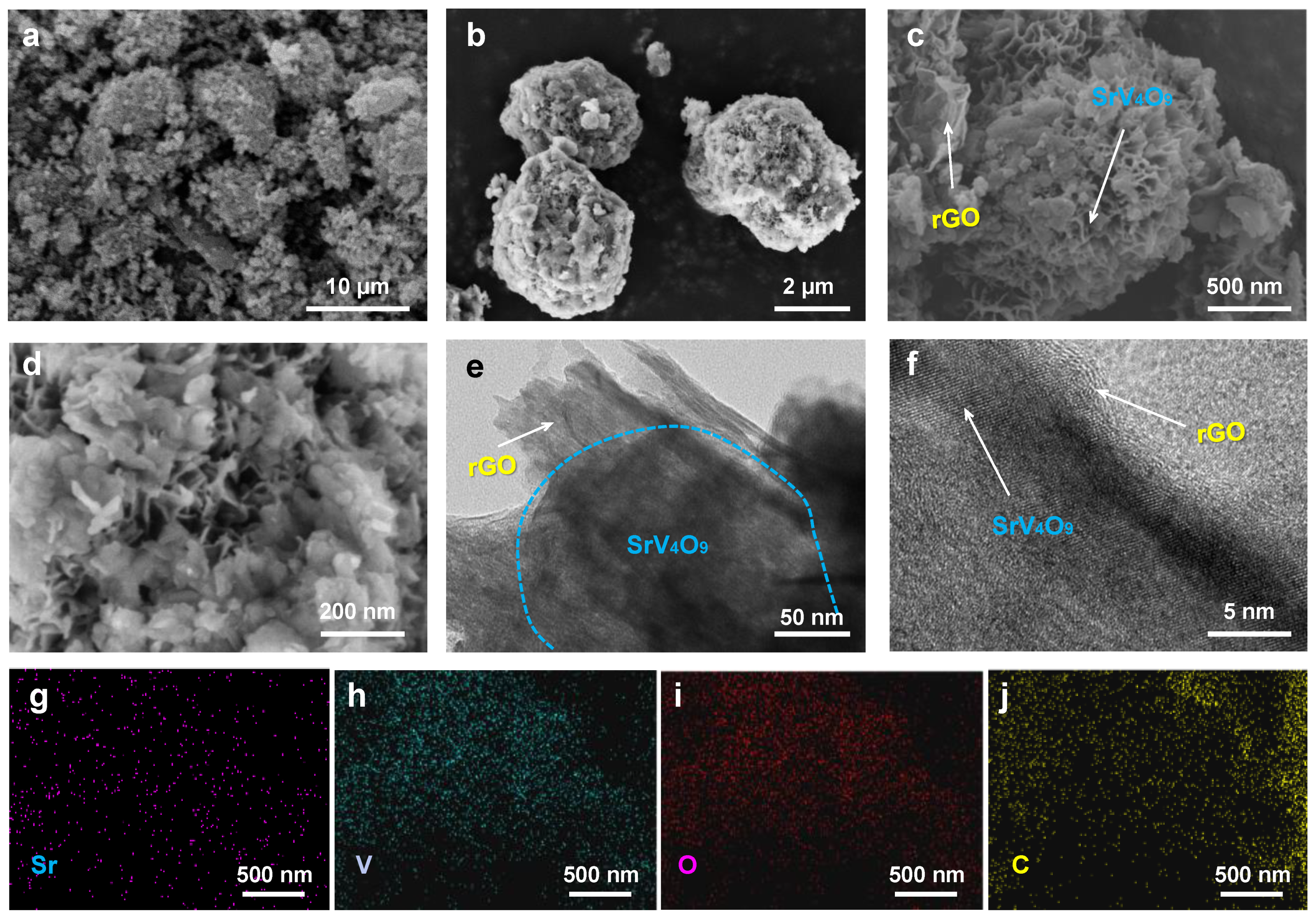Molecules 29 02704 g003