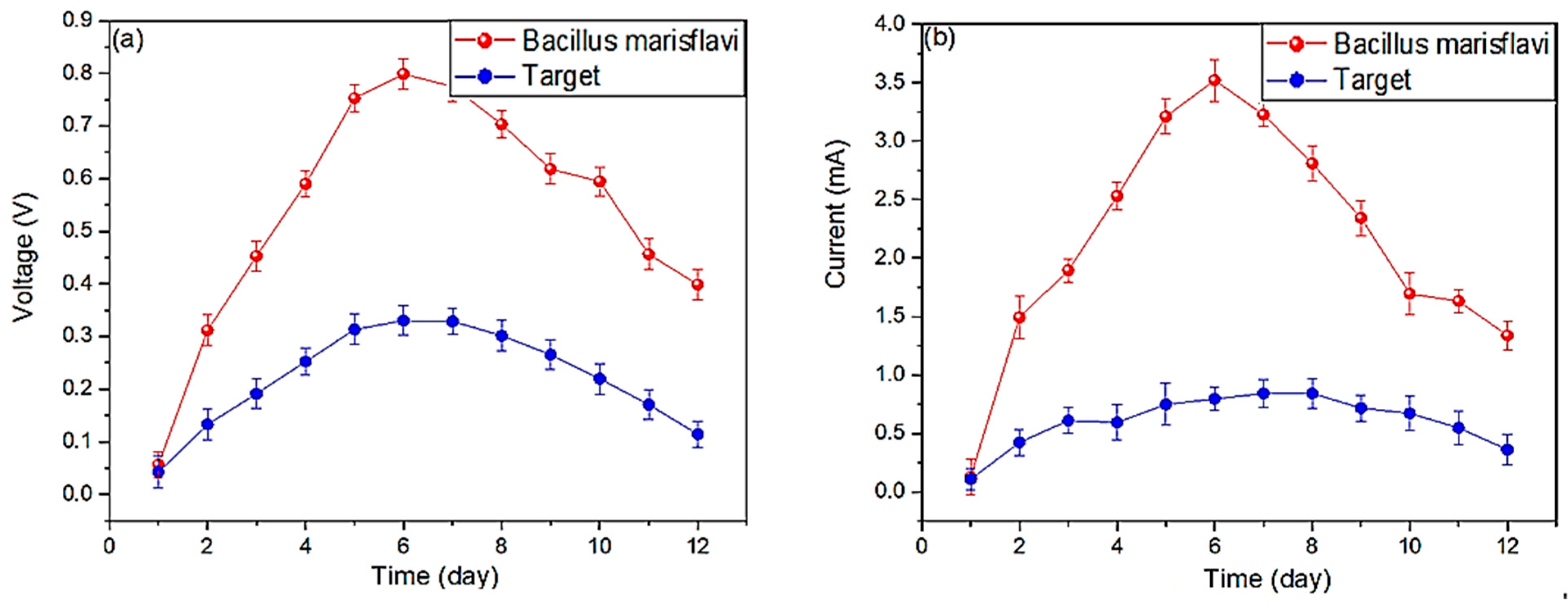 Molecules 29 02725 g001