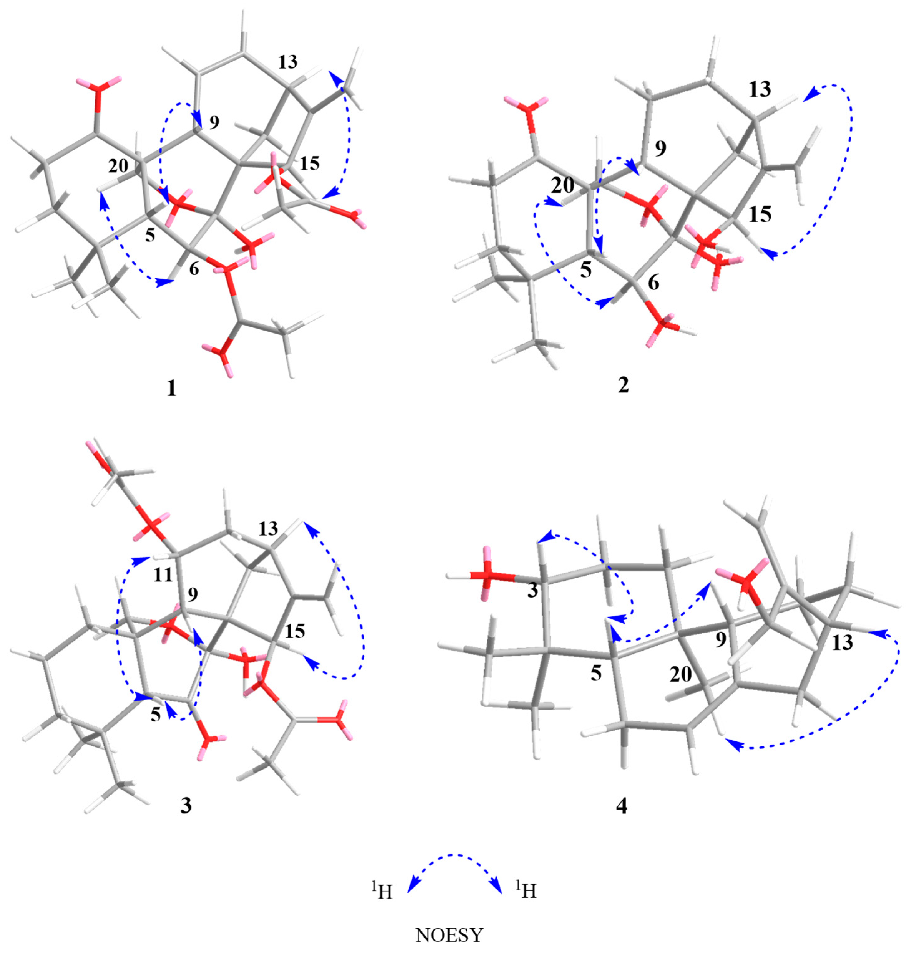Molecules 29 02733 g003