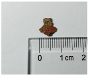 Molecules 29 02734 i002 Molecules 29 02734 i002