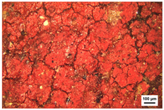 Molecules 29 02734 i003 Molecules 29 02734 i003