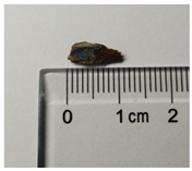 Molecules 29 02734 i004 Molecules 29 02734 i004