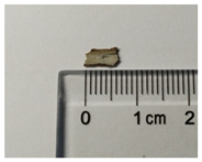 Molecules 29 02734 i006 Molecules 29 02734 i006