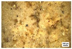 Molecules 29 02734 i007 Molecules 29 02734 i007