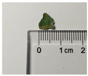 Molecules 29 02734 i008 Molecules 29 02734 i008