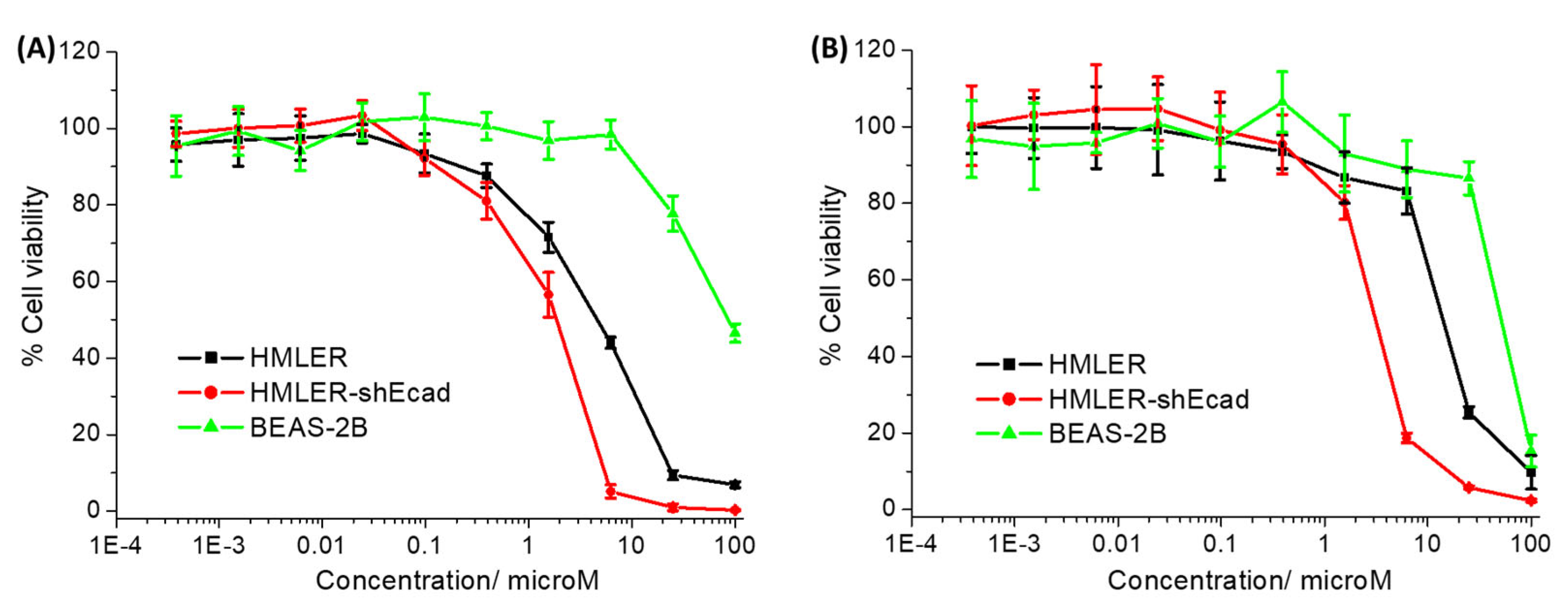 Molecules 29 02743 g002