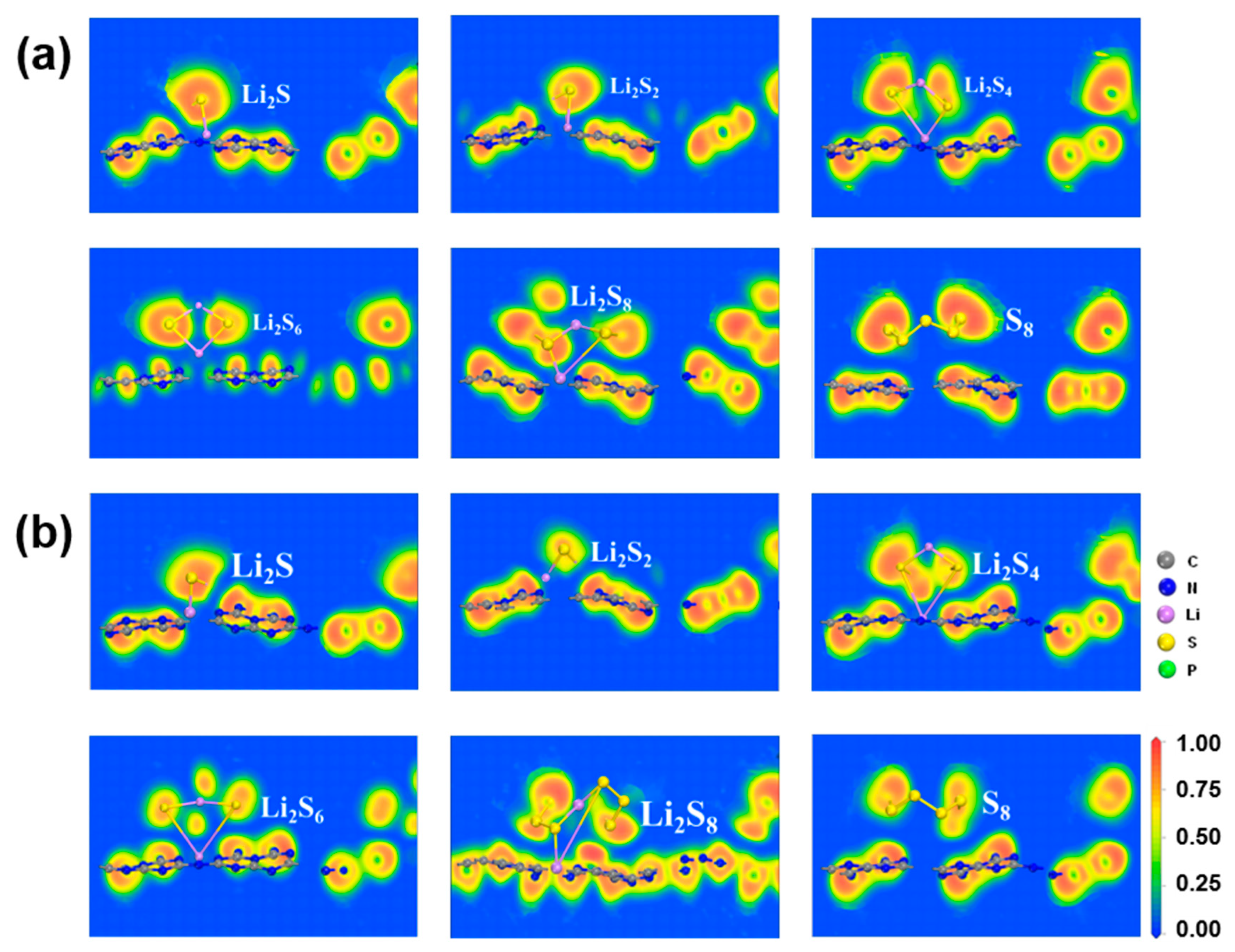 Molecules 29 02746 g005