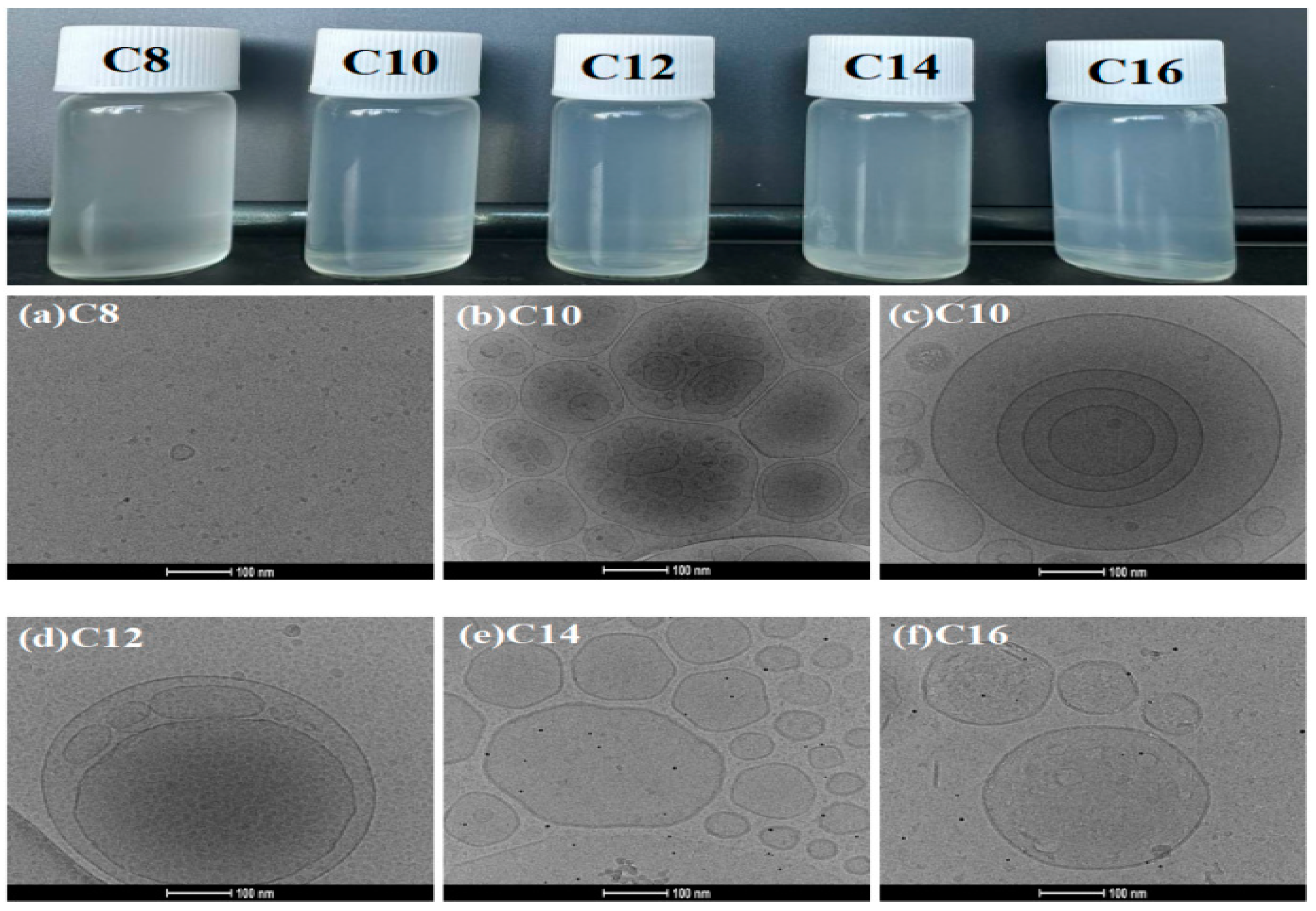 Molecules 29 02749 g005 Molecules 29 02749 g005