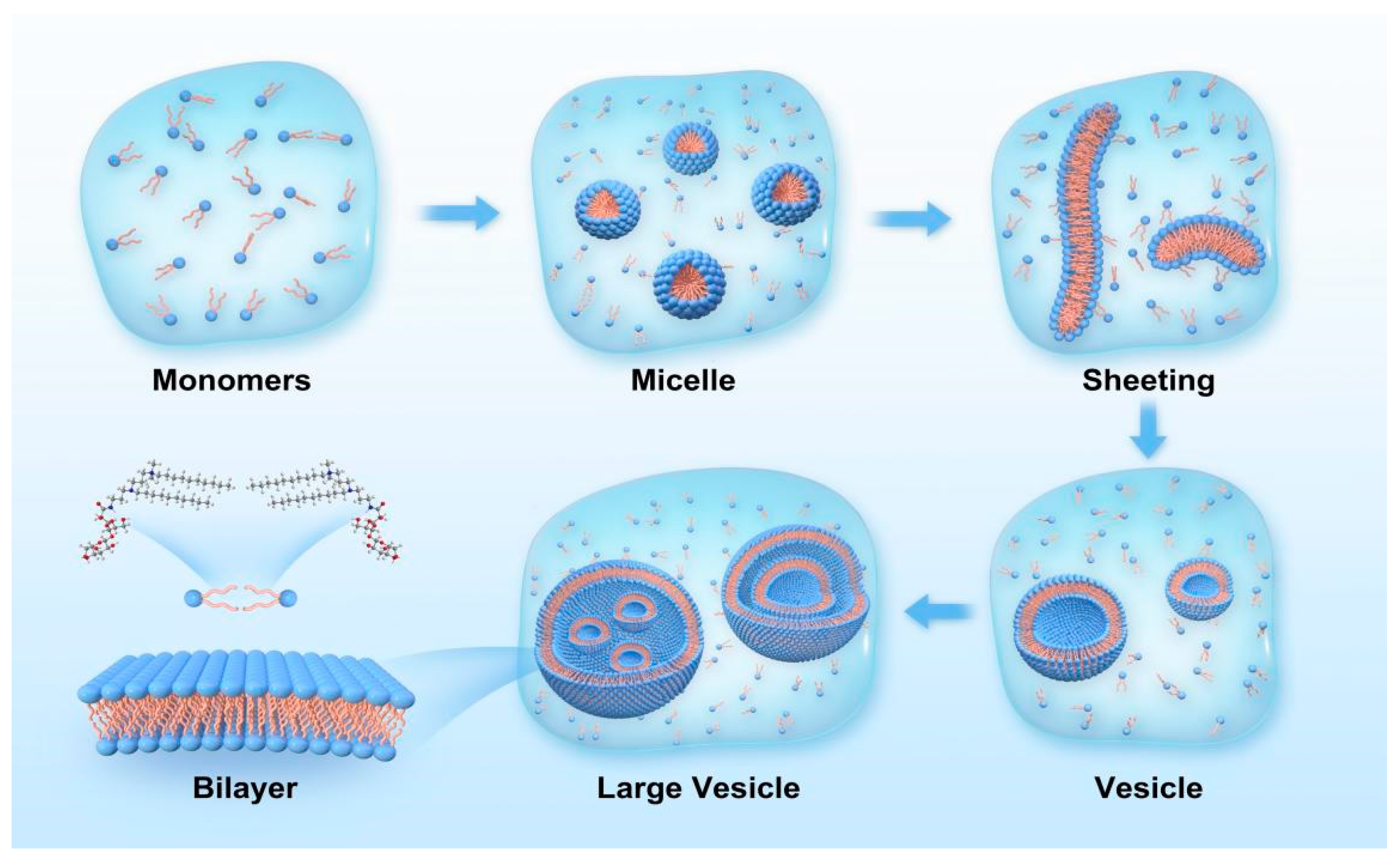 Molecules 29 02749 g006 Molecules 29 02749 g006