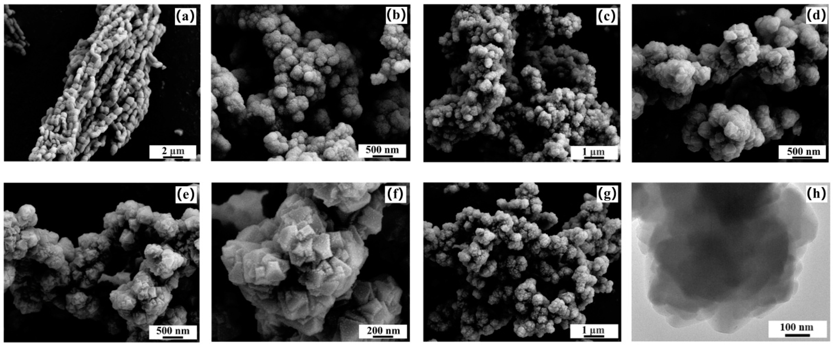 Molecules 29 02750 g004