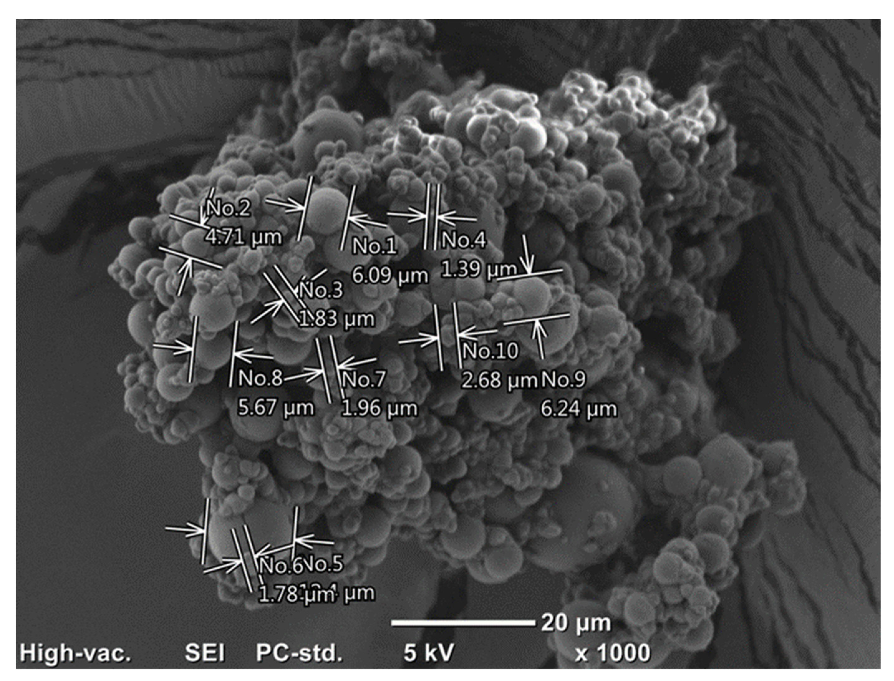Molecules 29 02751 g011