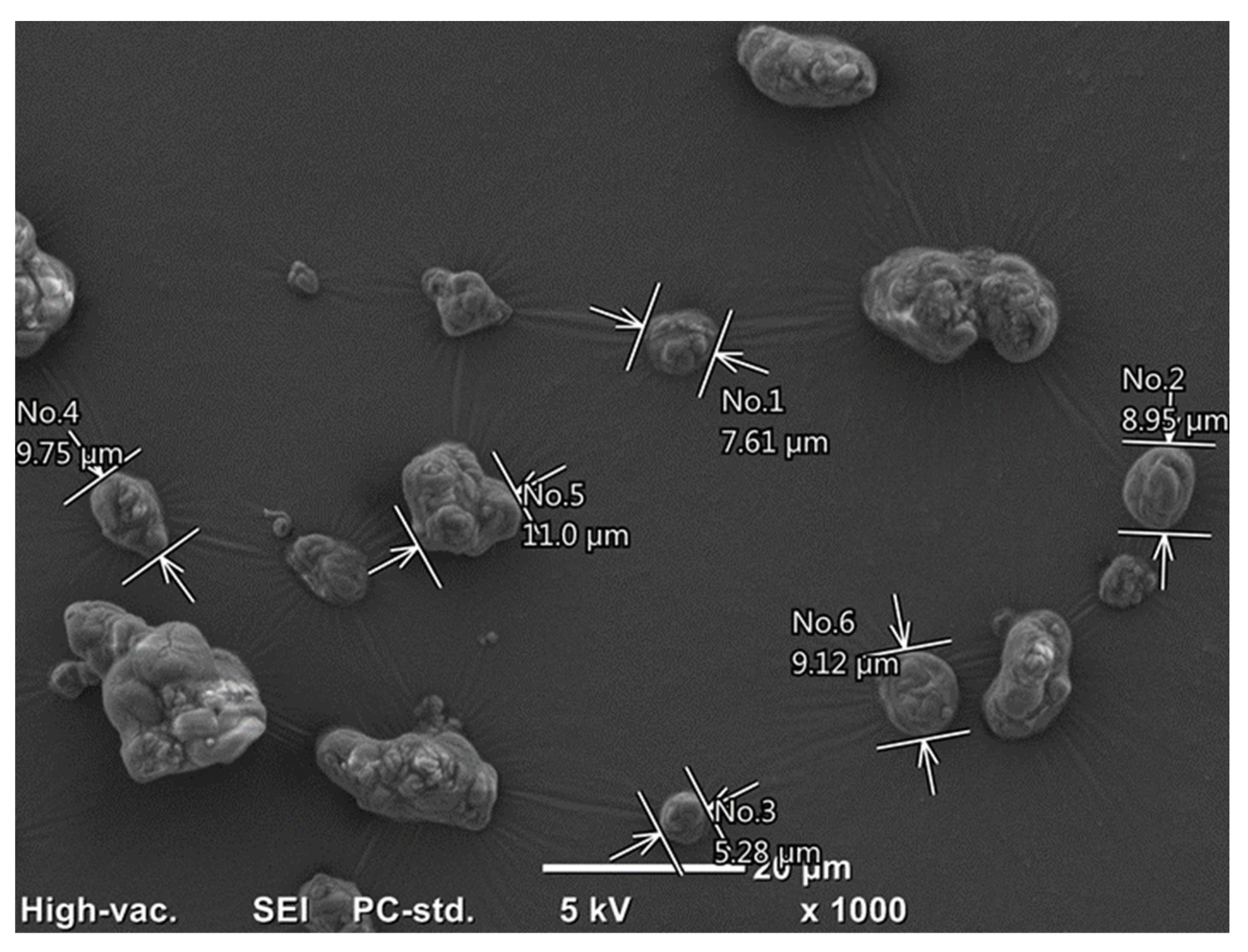 Molecules 29 02751 g012