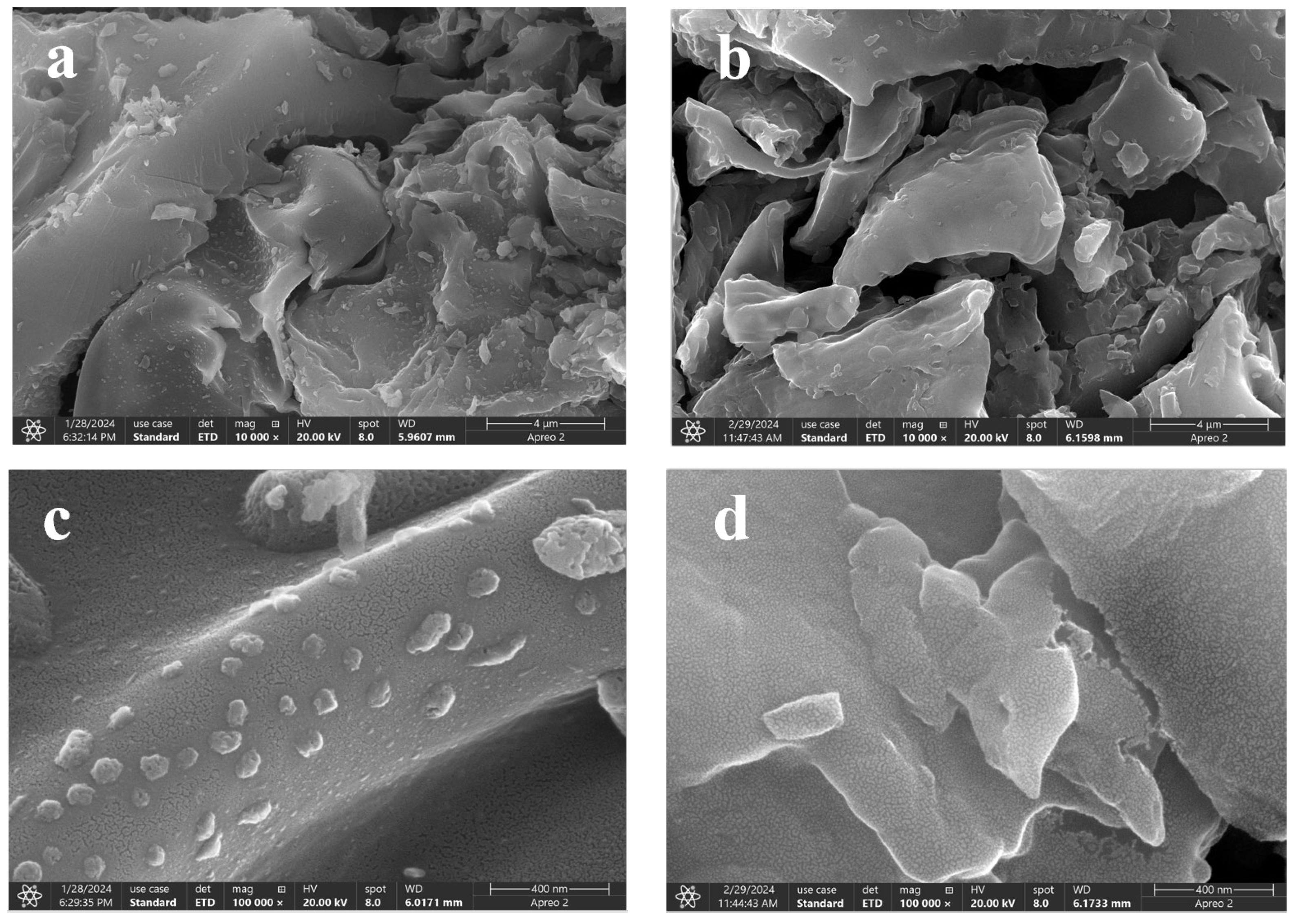 Molecules 29 02752 g003
