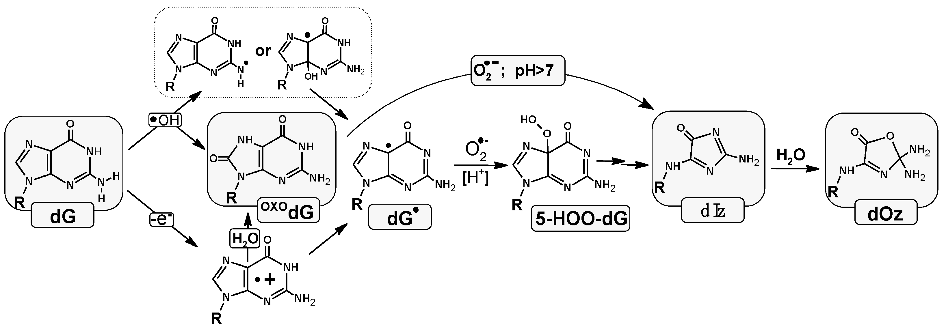 Molecules 29 02754 g001