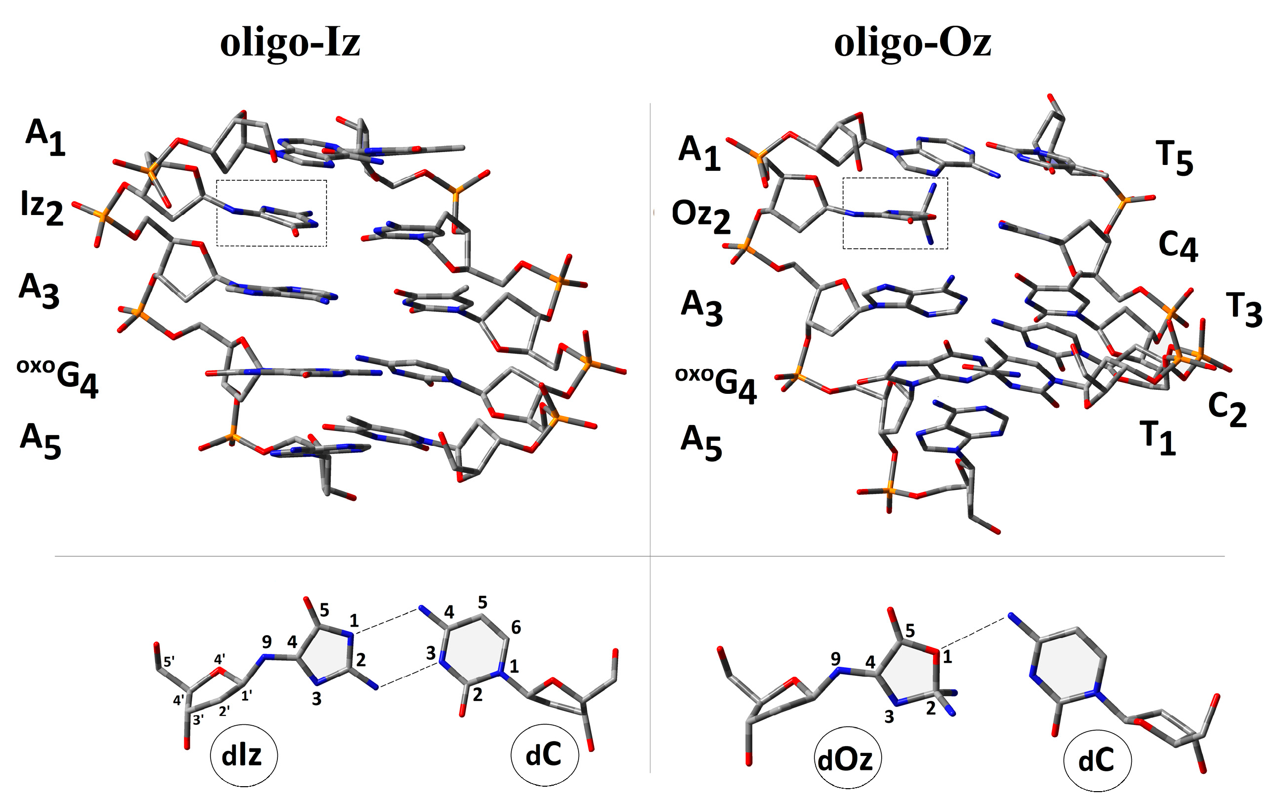 Molecules 29 02754 g002