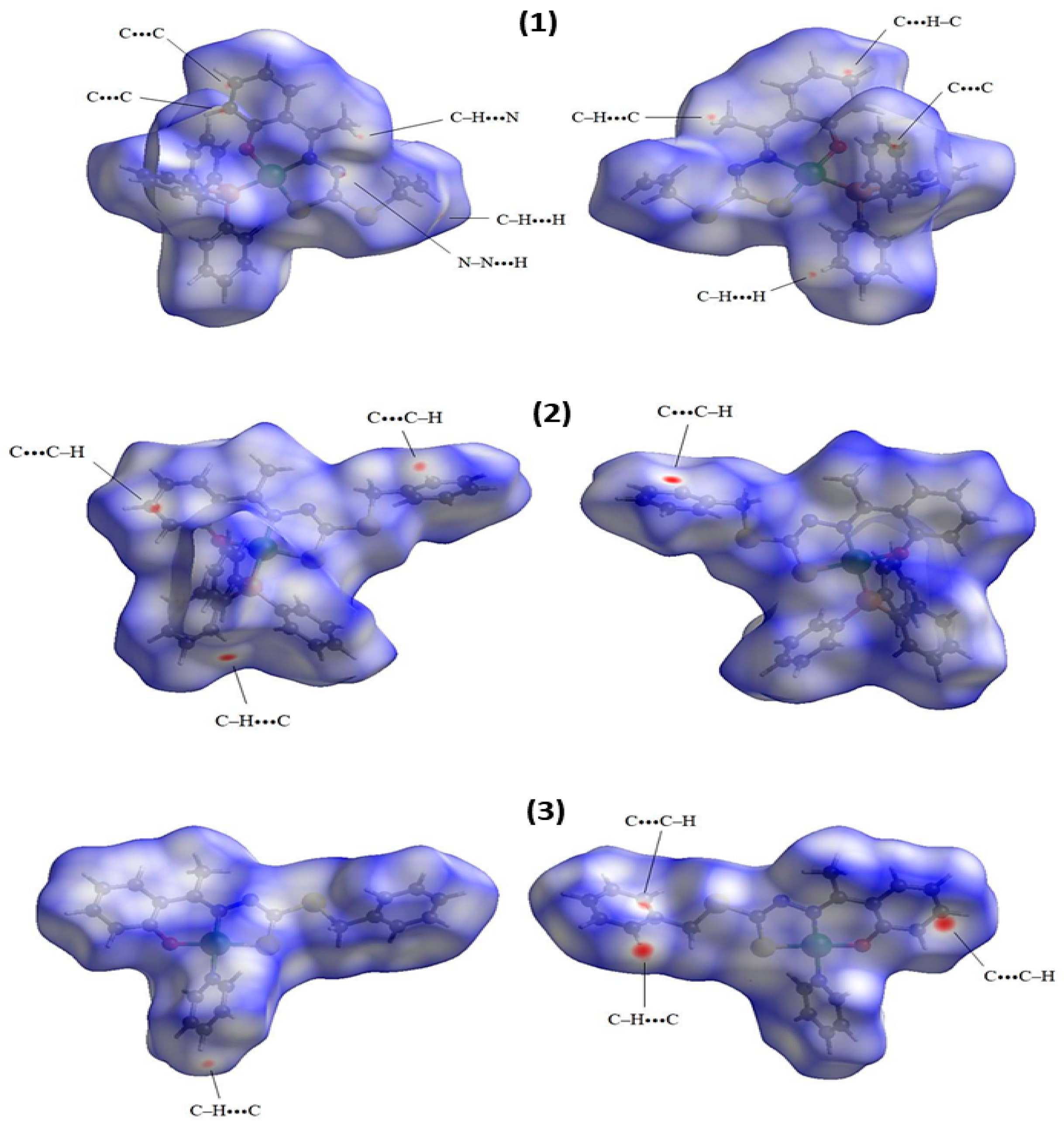 Molecules 29 02759 g005