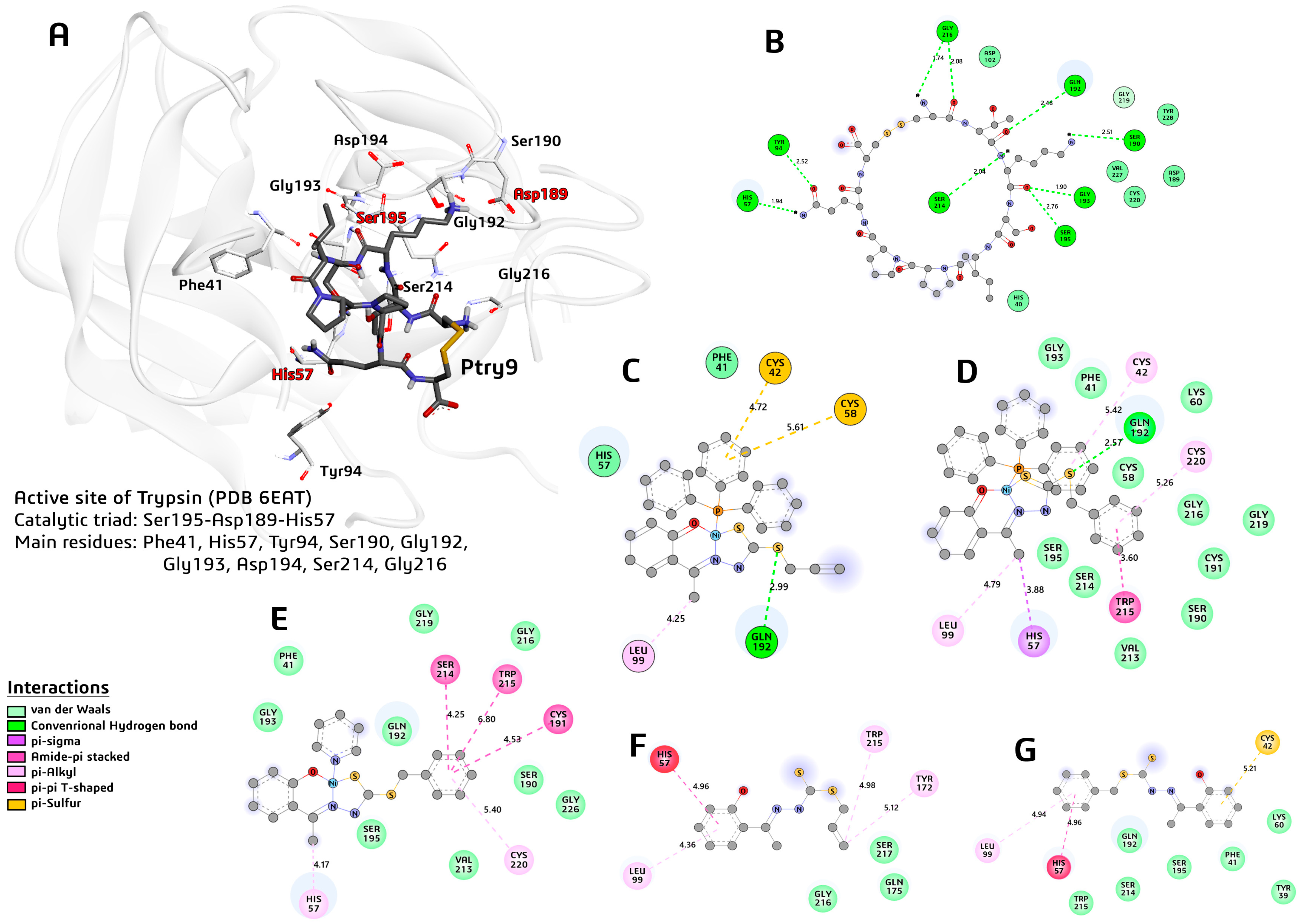 Molecules 29 02759 g010