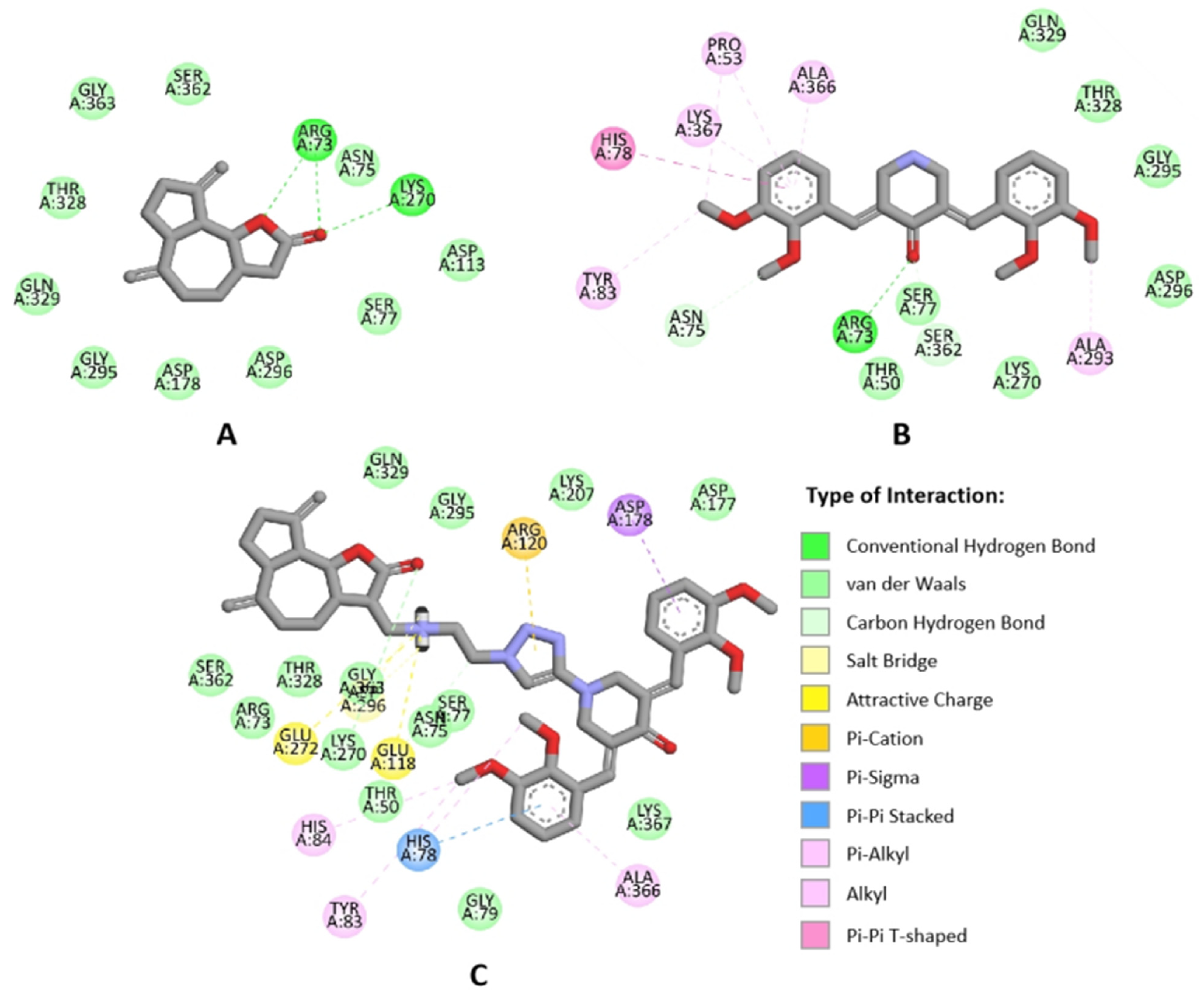 Molecules 29 02765 g004
