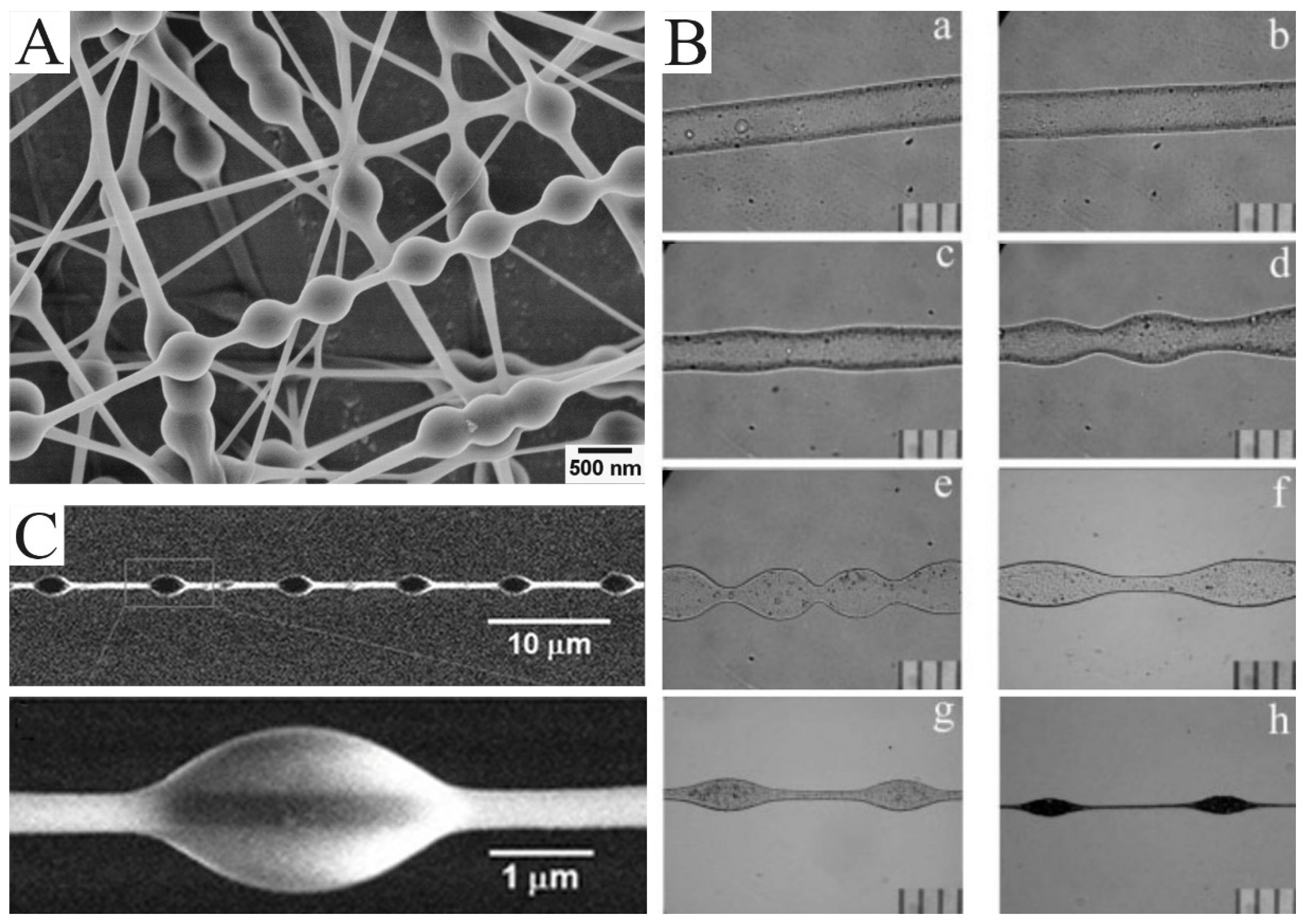 Molecules 29 02769 g003