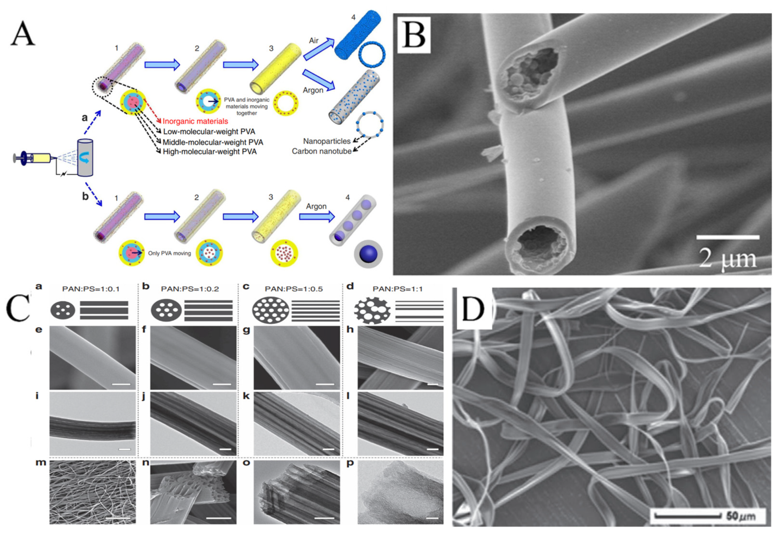 Molecules 29 02769 g005