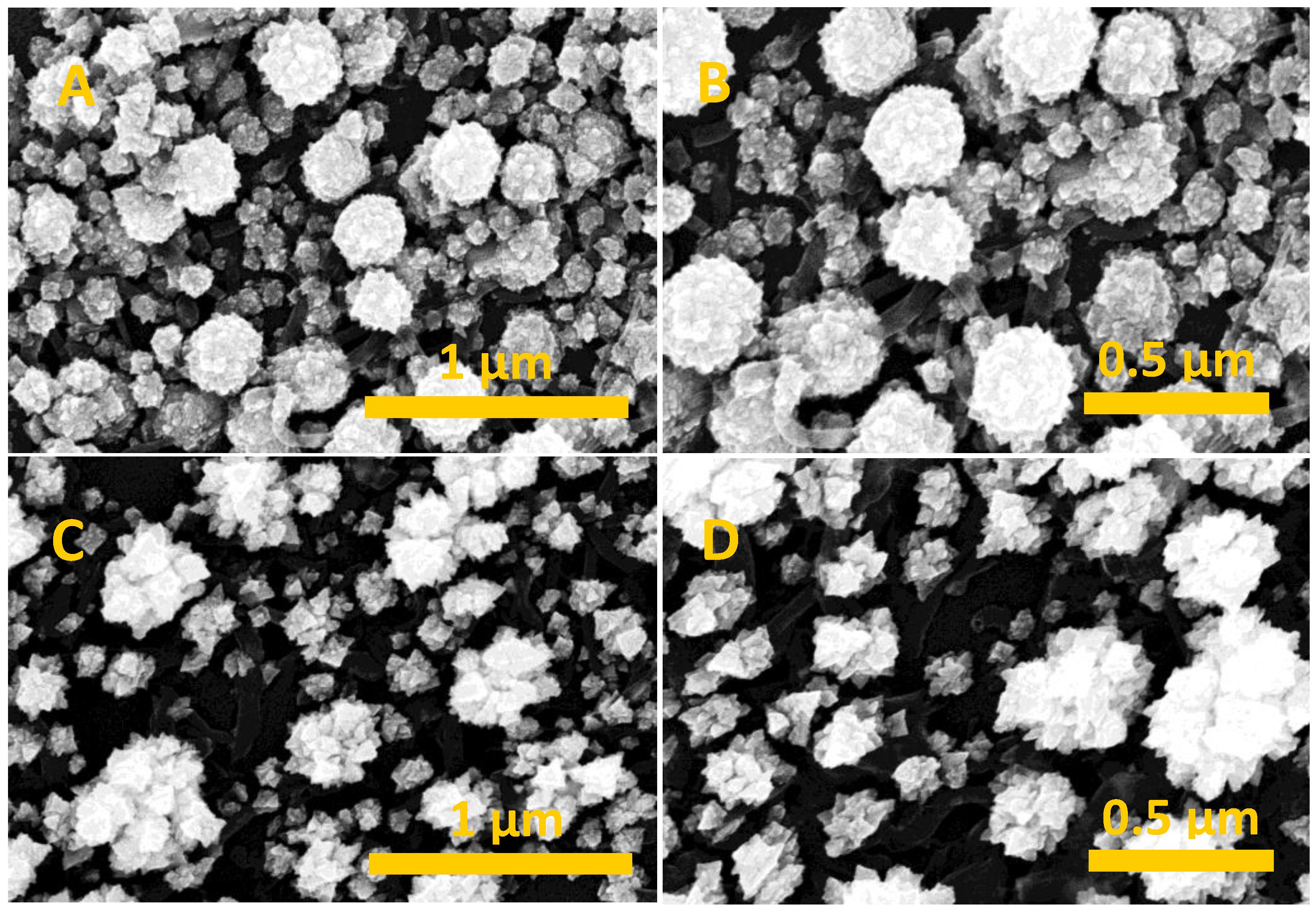 Molecules 29 02772 g002