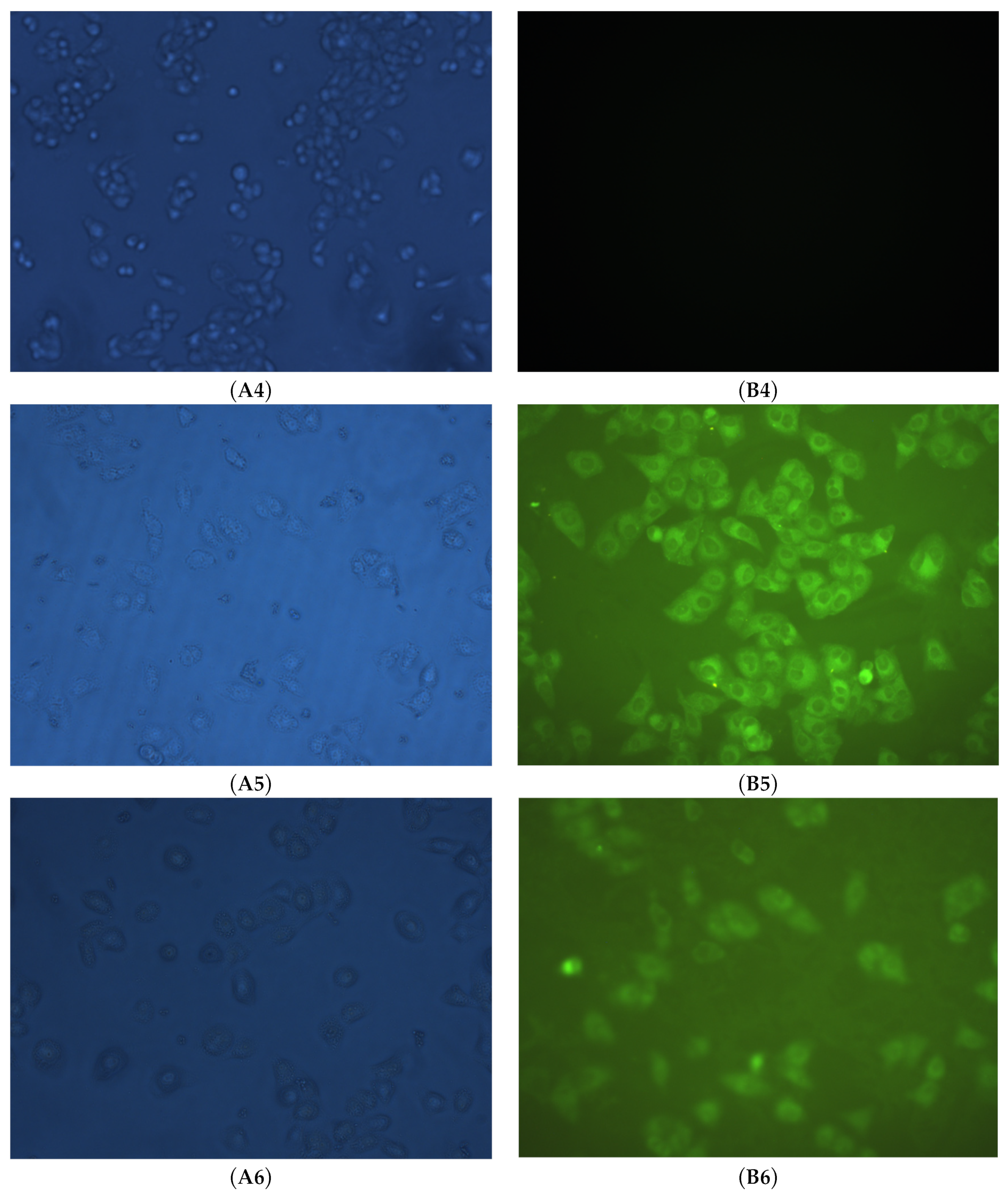 Molecules 29 02774 g009