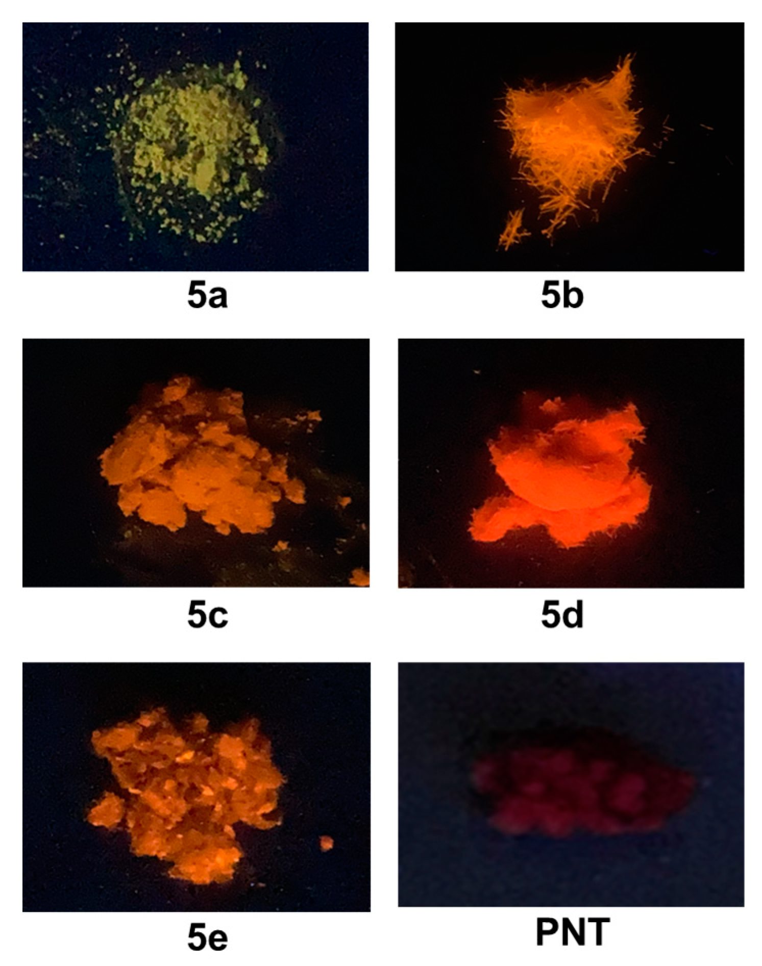 Molecules 29 02777 g005