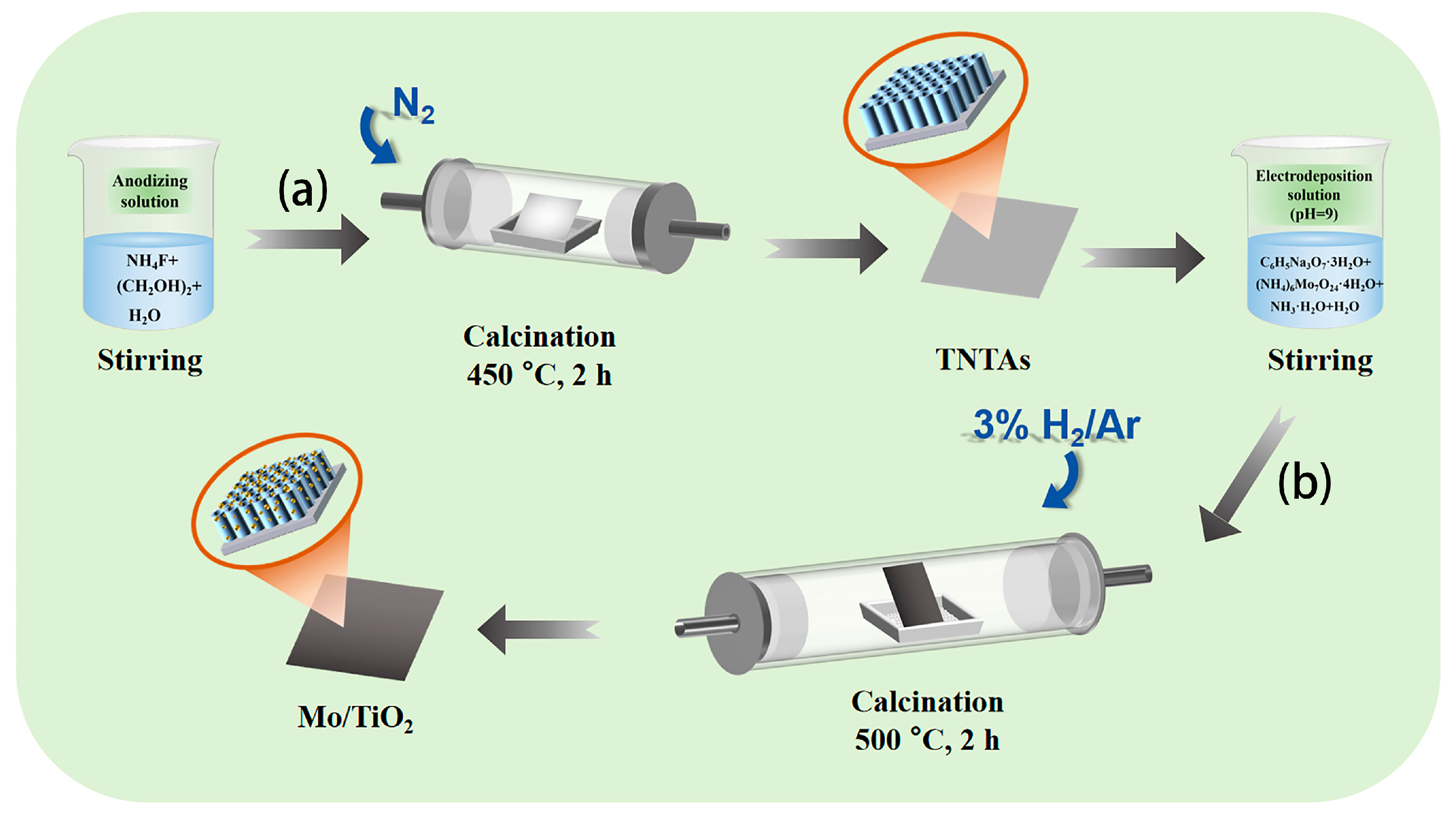 Molecules 29 02782 g001