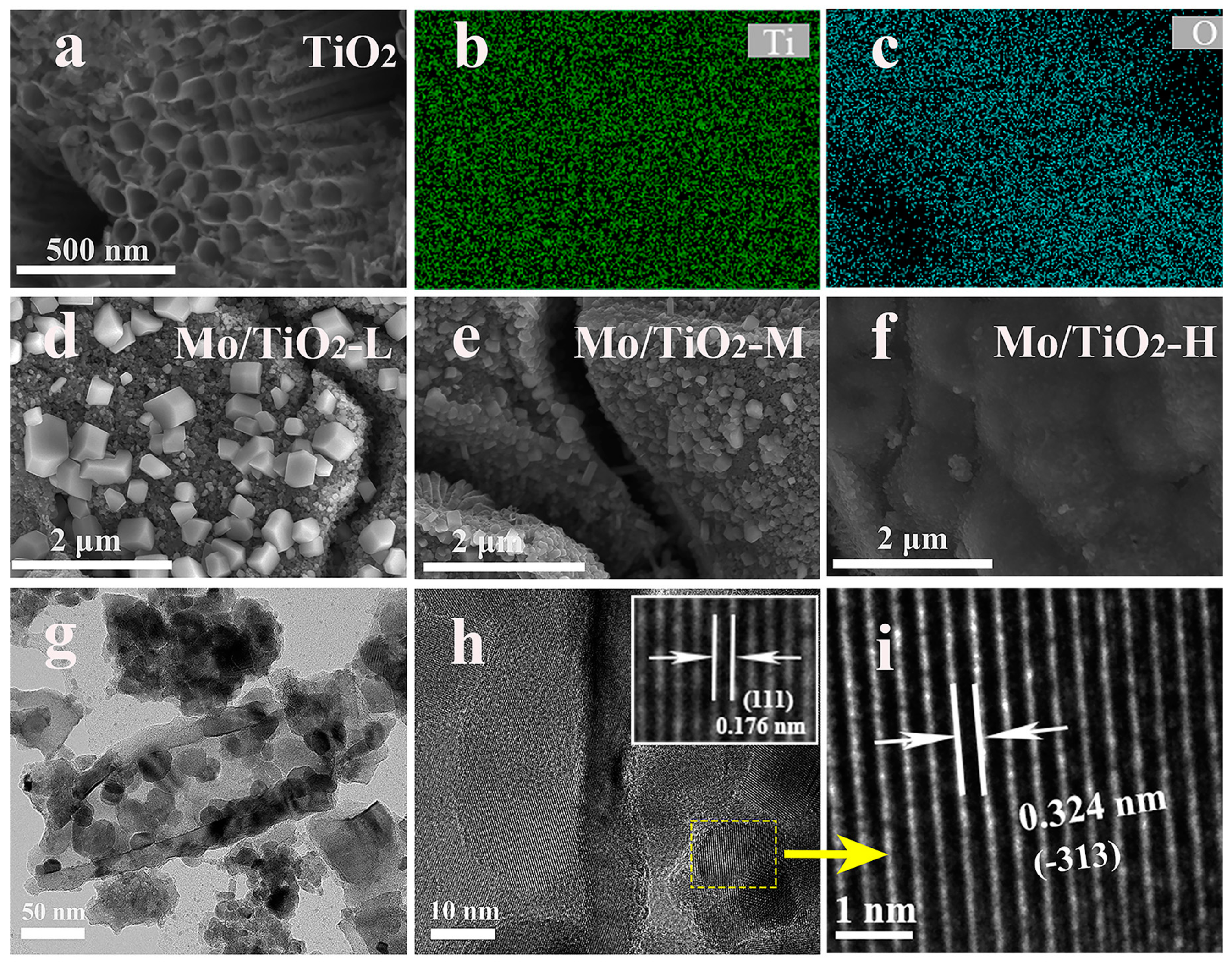 Molecules 29 02782 g002
