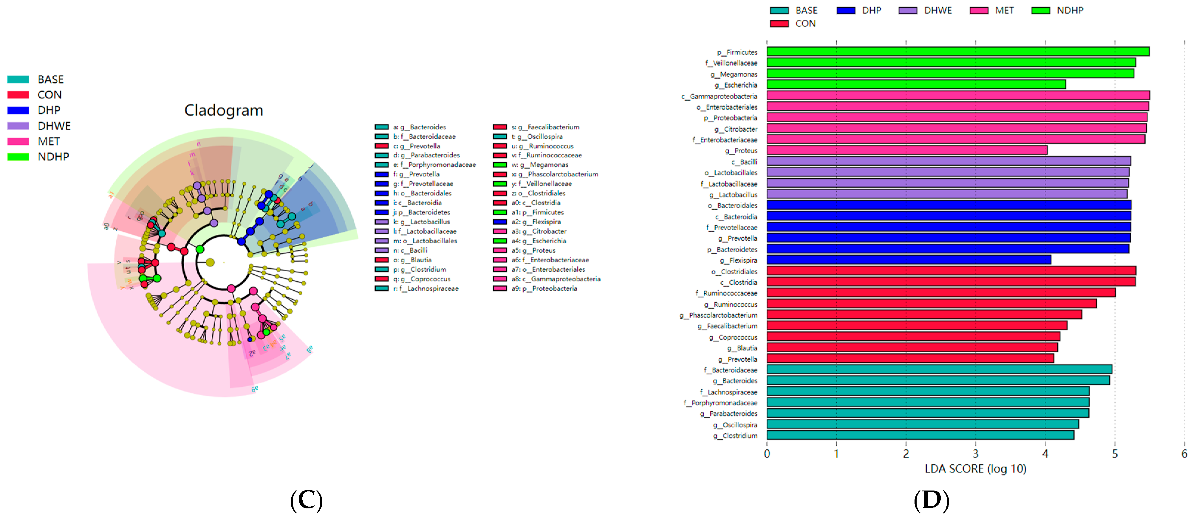 Molecules 29 02791 g008b