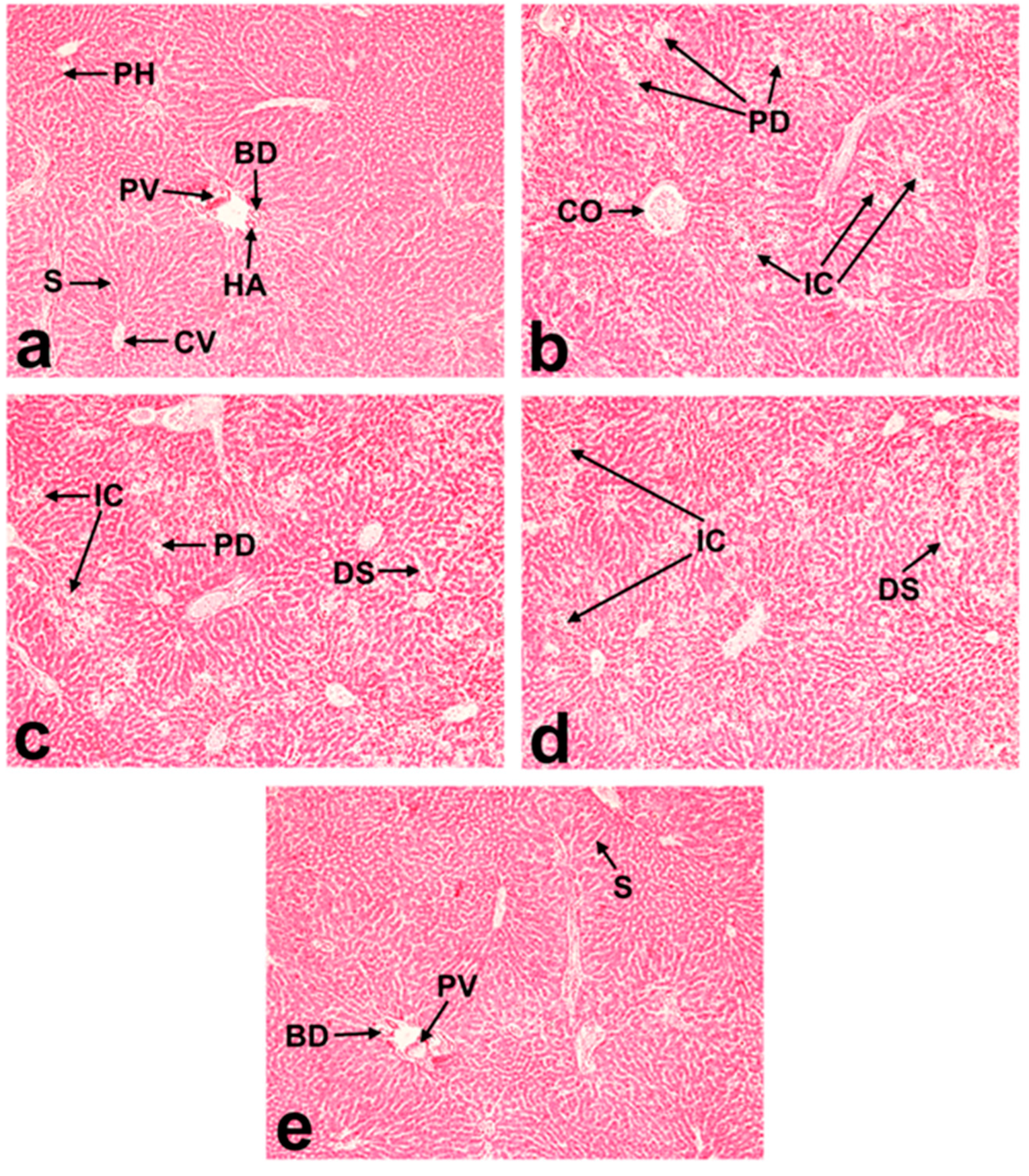 Molecules 29 02795 g007 Molecules 29 02795 g007