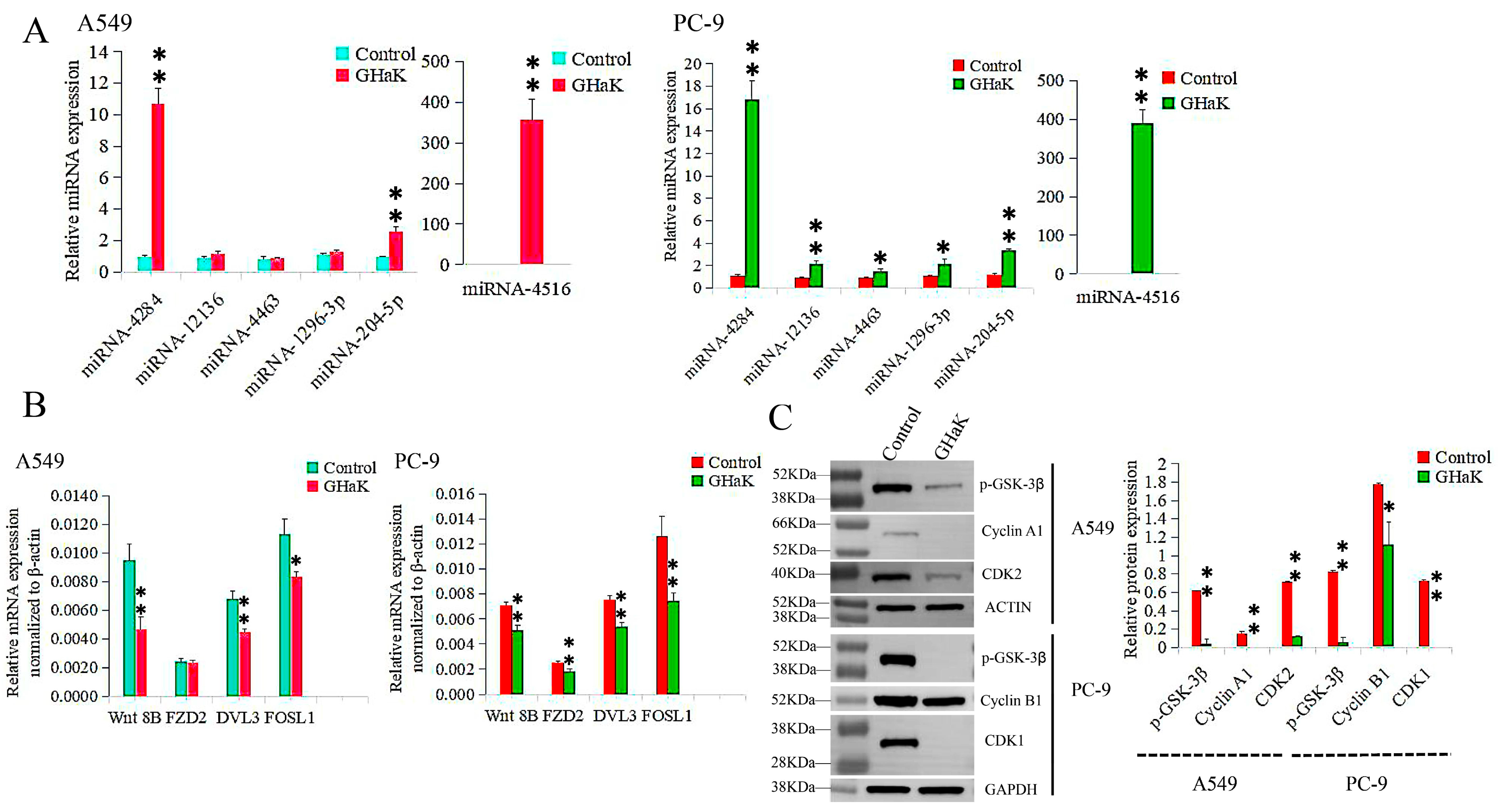 Molecules 29 02797 g005
