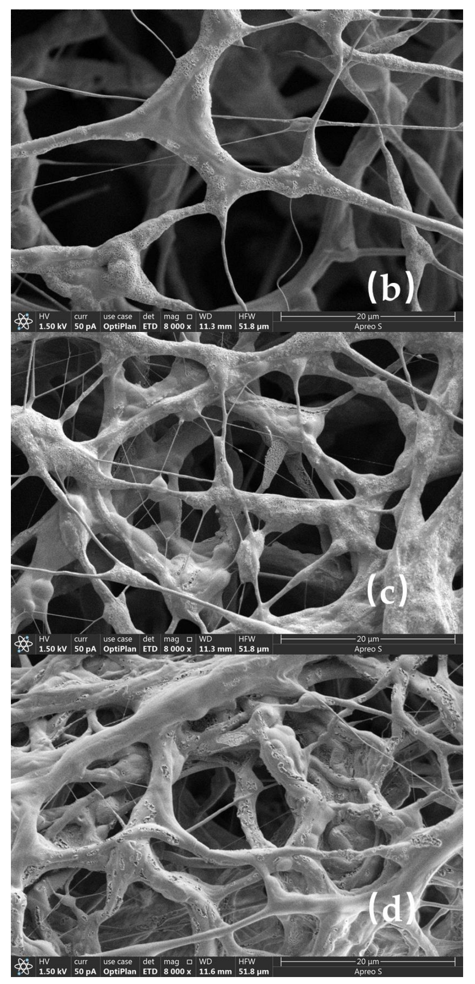Molecules 29 02798 g008b