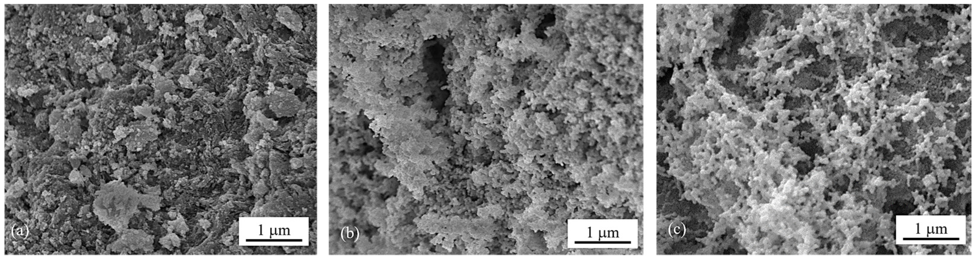 Molecules 29 02803 g001