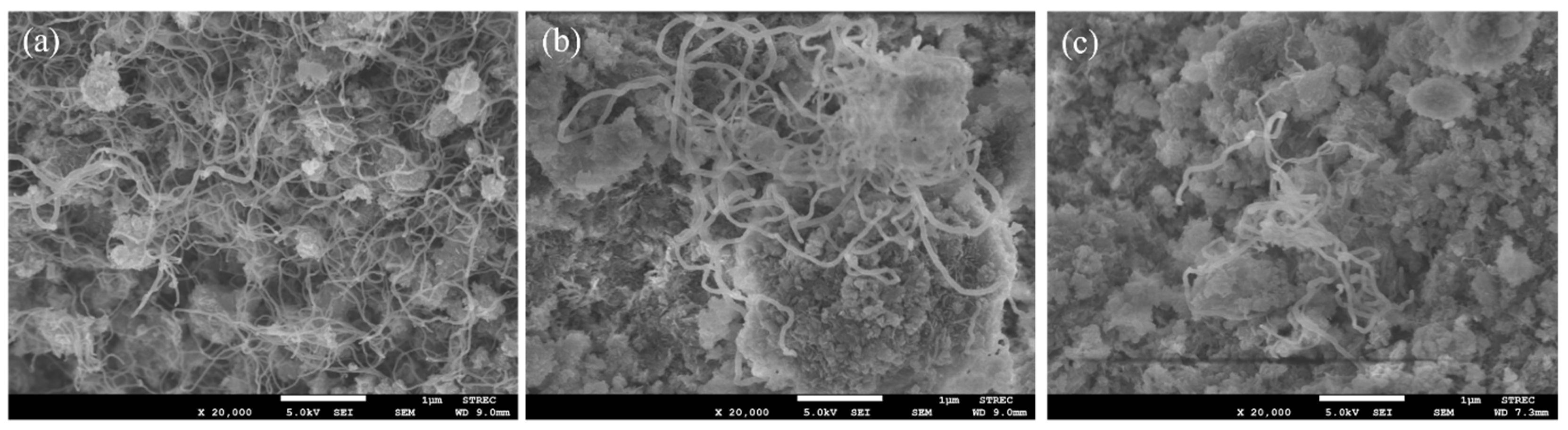 Molecules 29 02803 g012