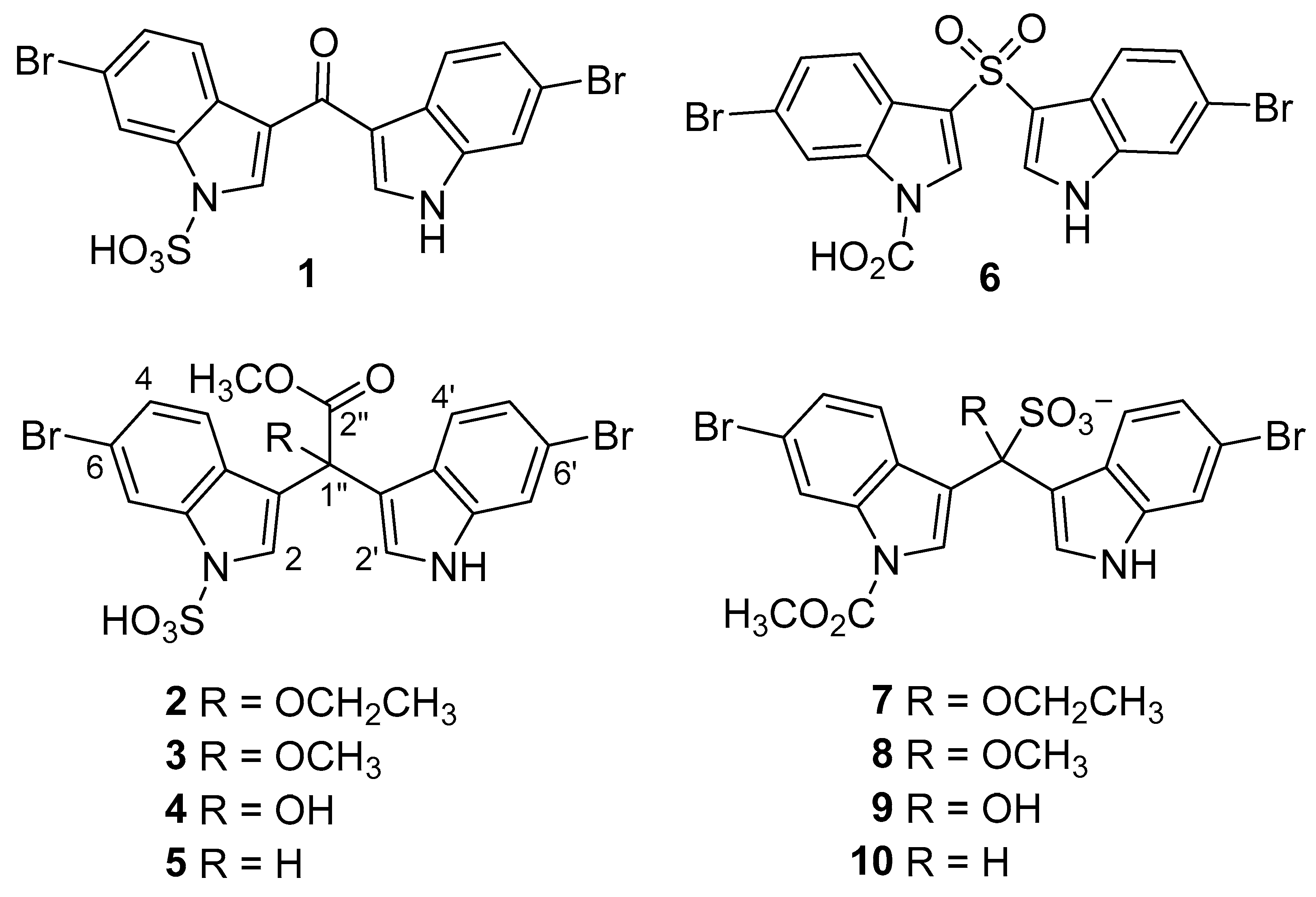 Molecules 29 02806 g001