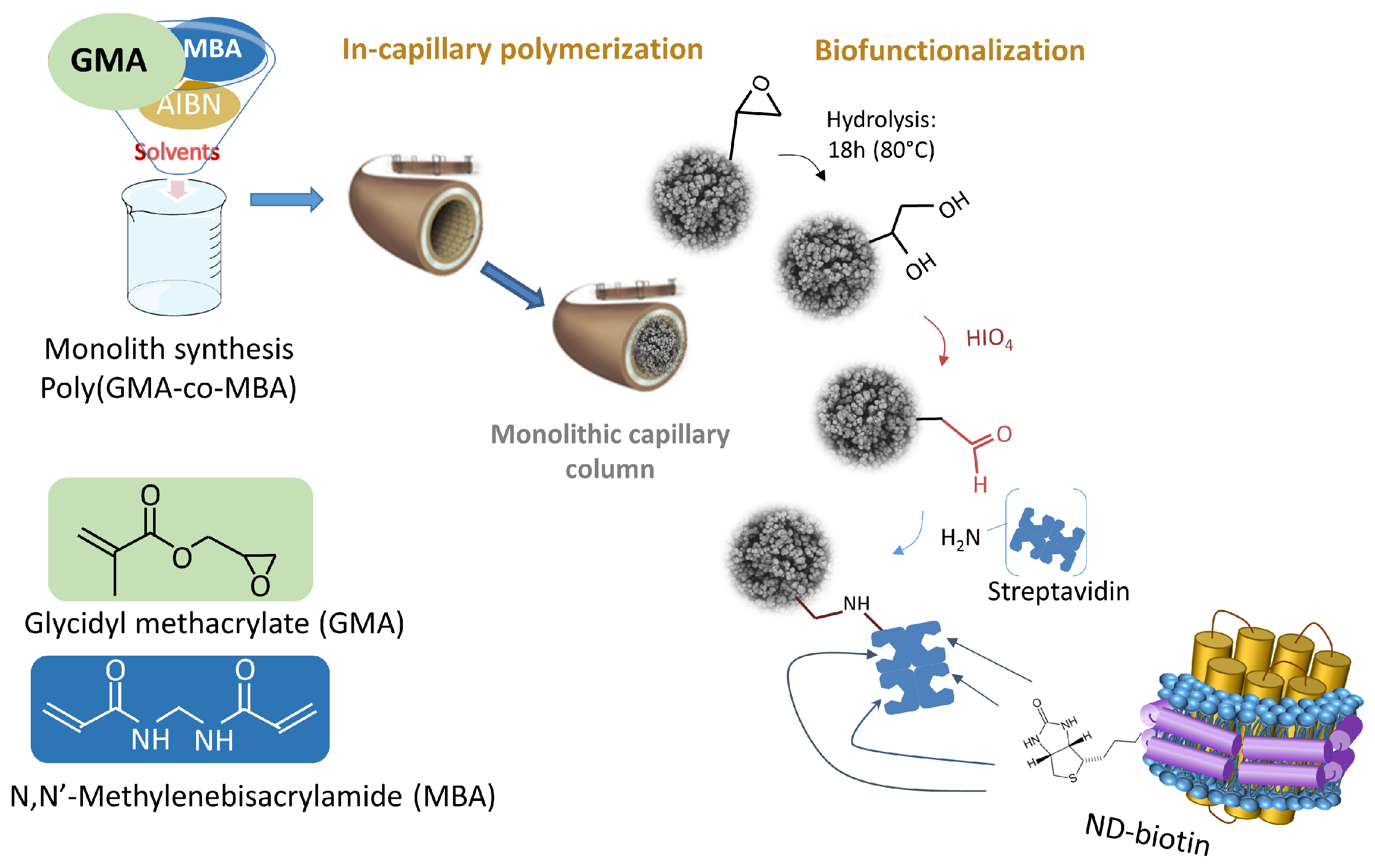 Molecules 29 02814 g001