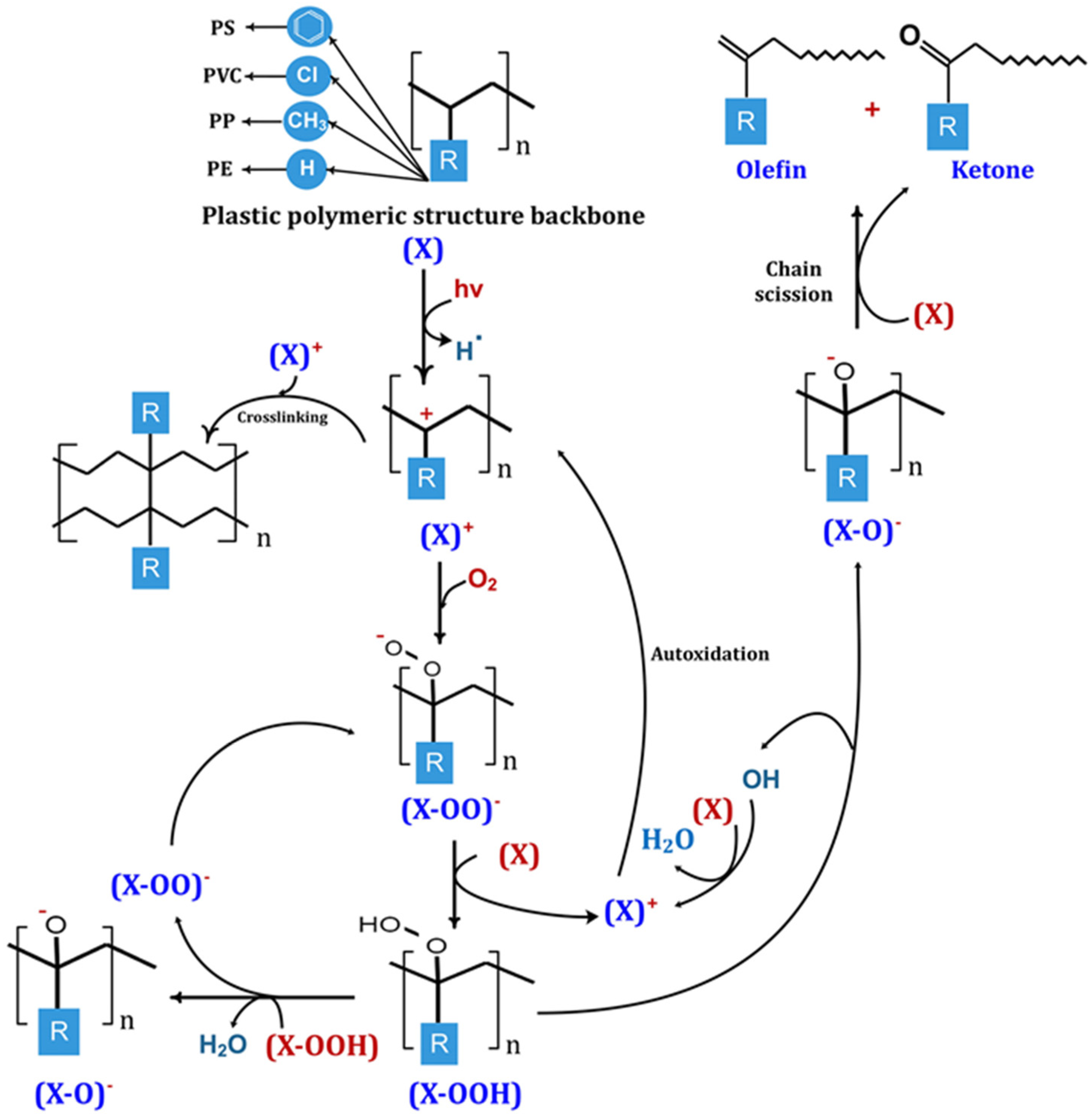 Molecules 29 02816 g005