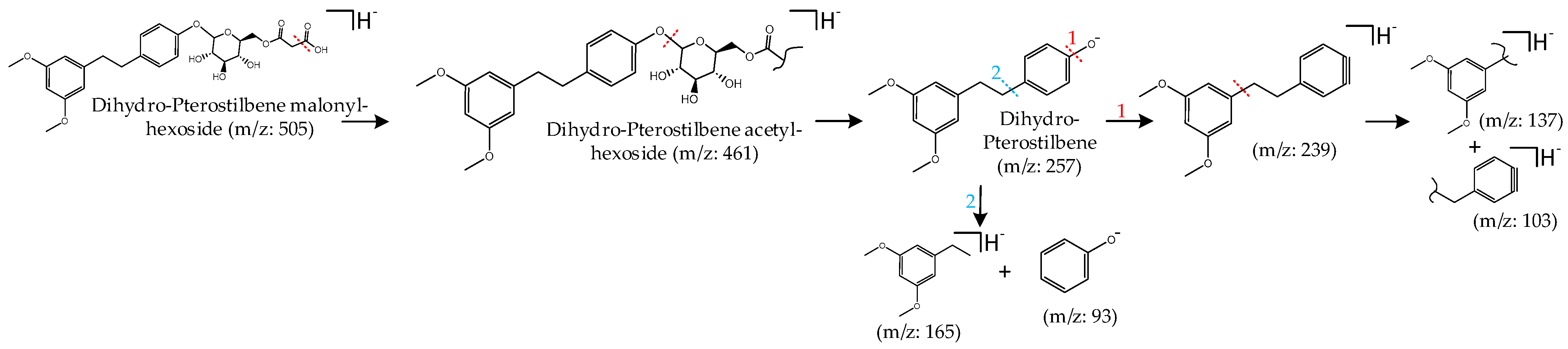 Molecules 29 02821 g004